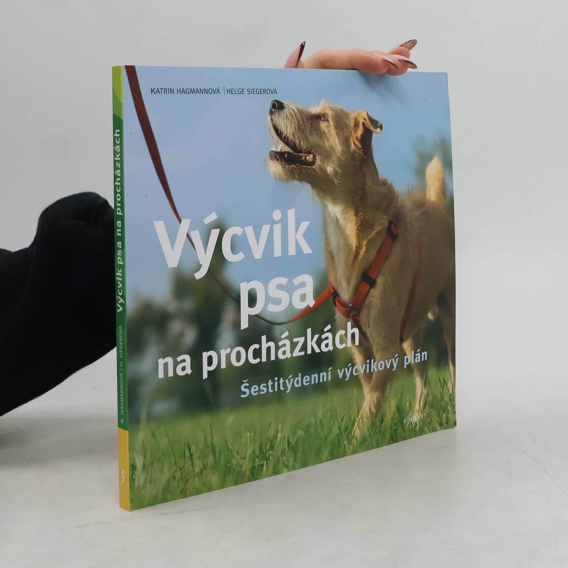 Helge Sieger Výcvik psa na procházkách