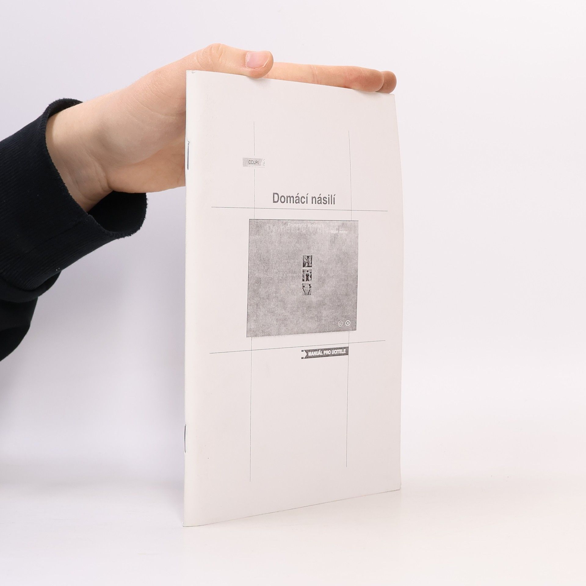 Kolektiv autorů Domácí násilí