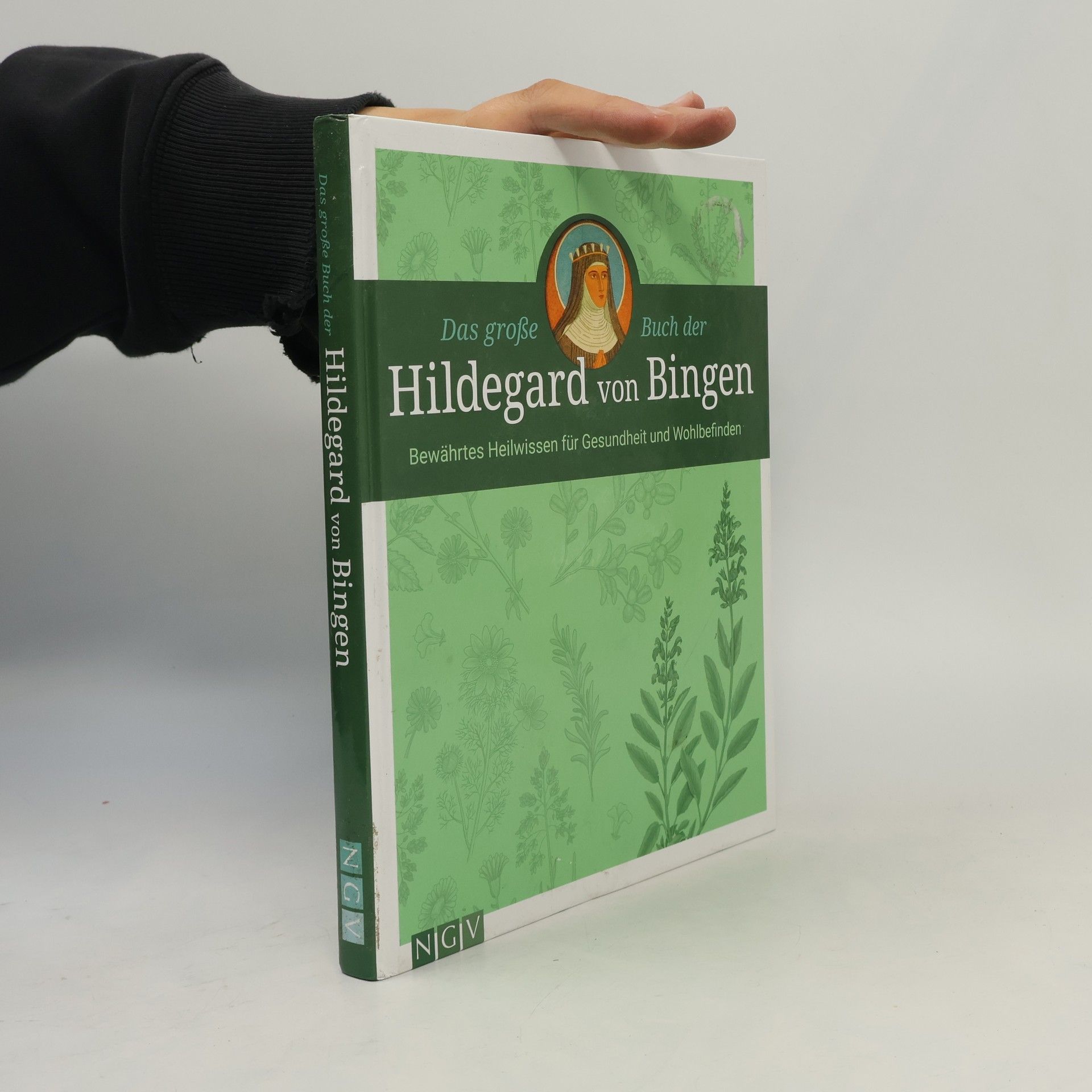 Auteurscollectief Das große Buch der Hildegard von Bingen