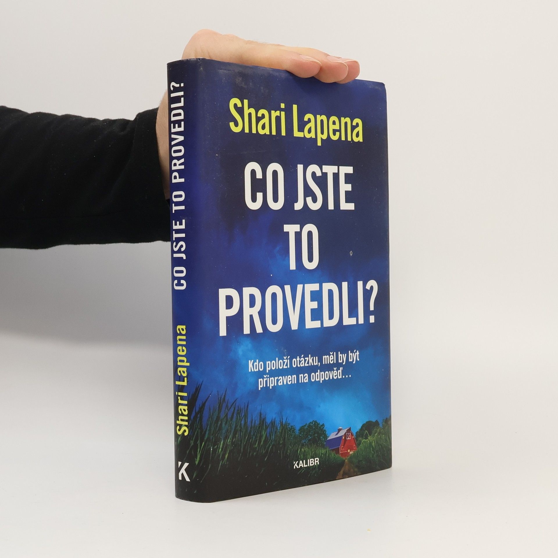 Shari Lapena Co jste to provedli?