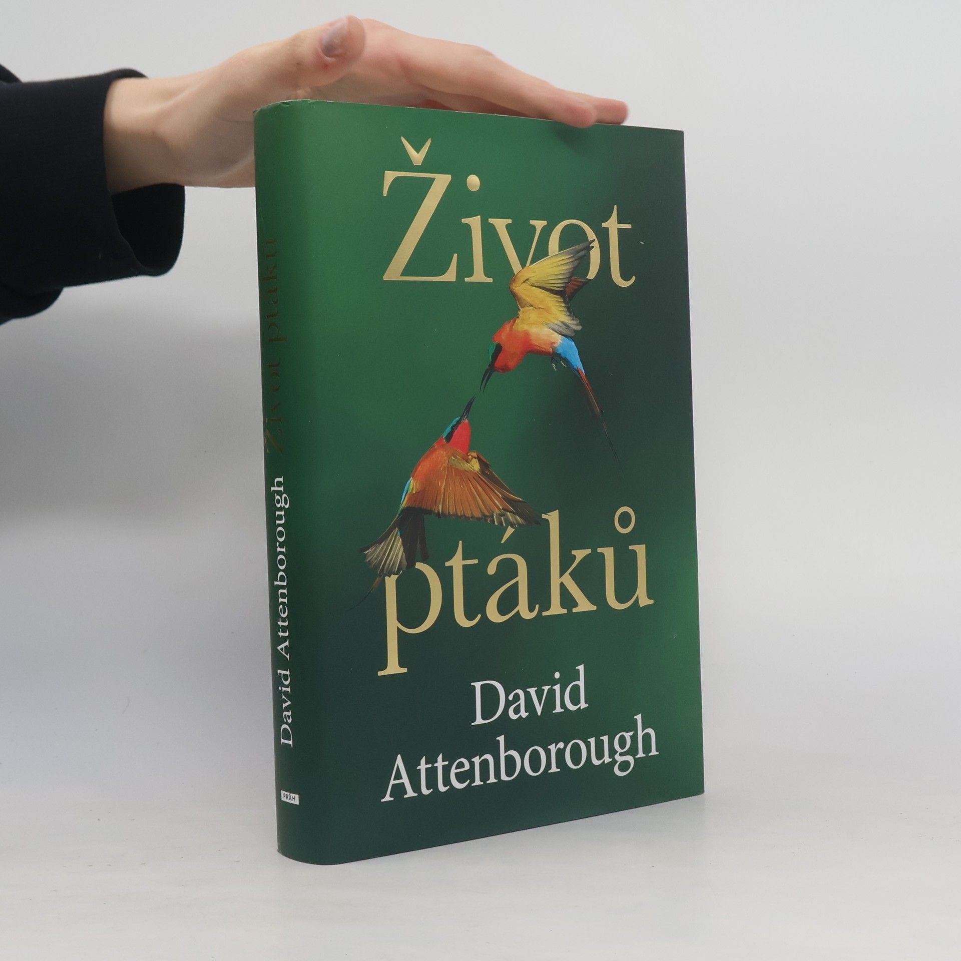 David Attenborough Život ptáků