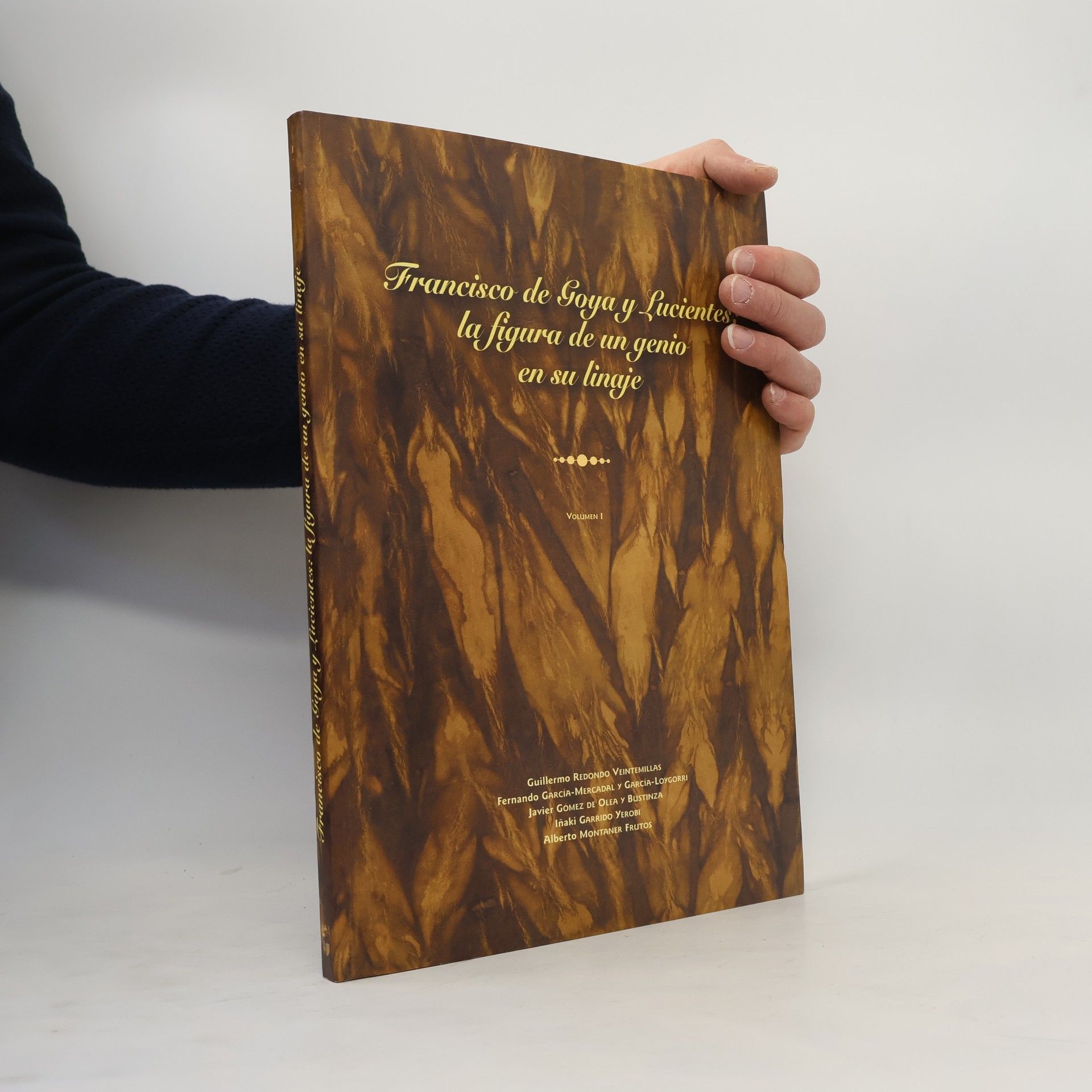 Various authors Francisco de Goya y Lucientes: la Figura de un genio en su linaje I.