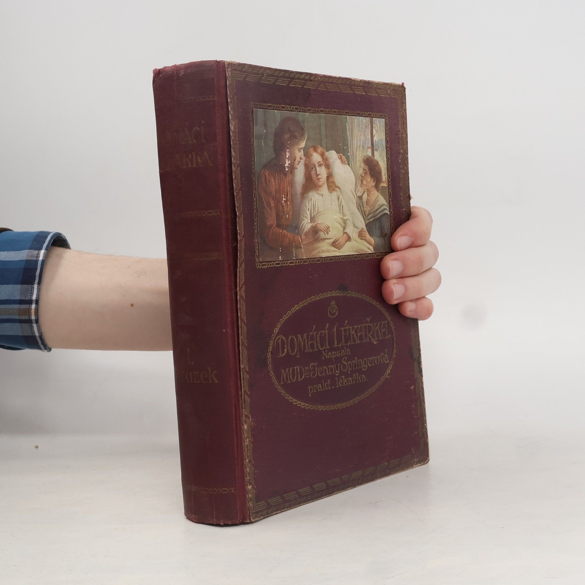 Jenny Springer Domácí lékařka. Svazek 1
