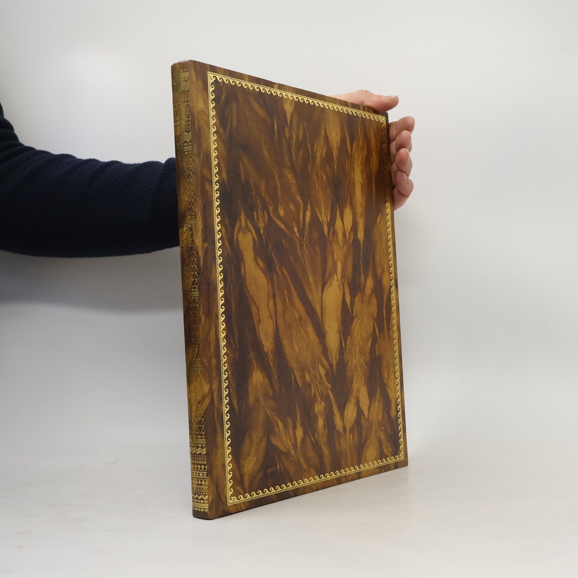 Various authors Francisco de Goya y Lucientes: Volumen II.