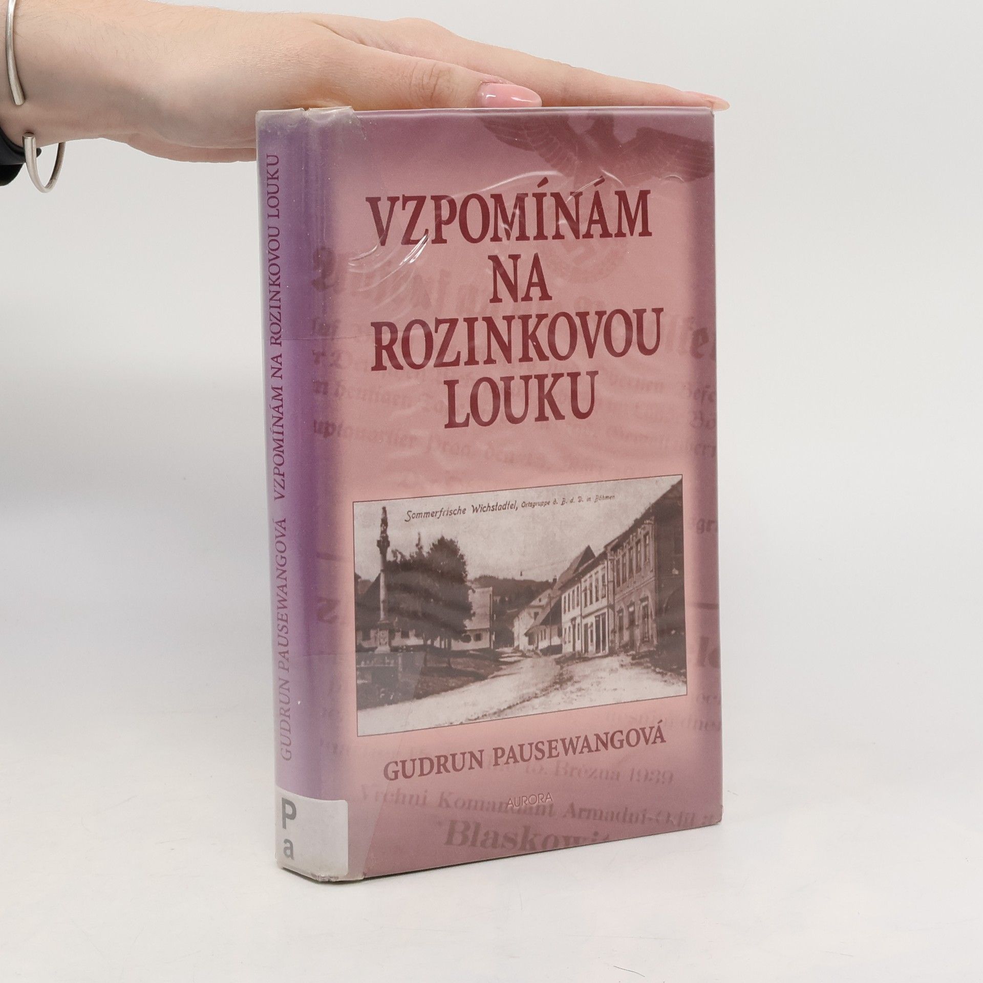 Vzpomínám na Rozinkovou louku