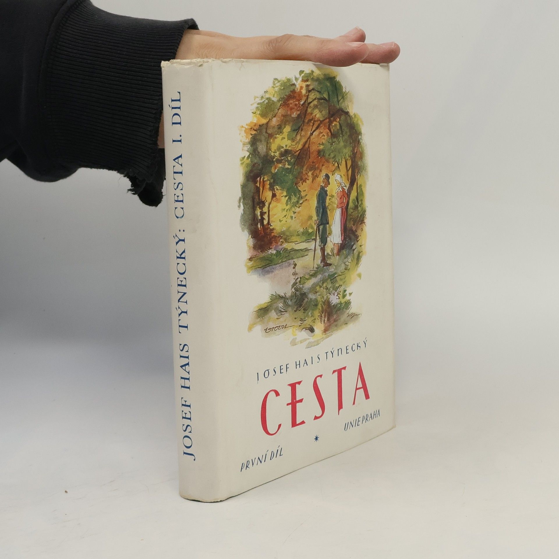 Josef Hais Týnecký Cesta I.