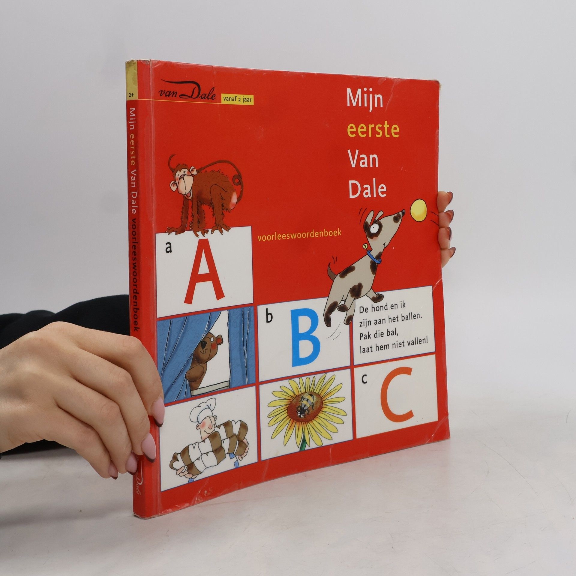 Liesbeth Schlichting Mijn eerste van Dale