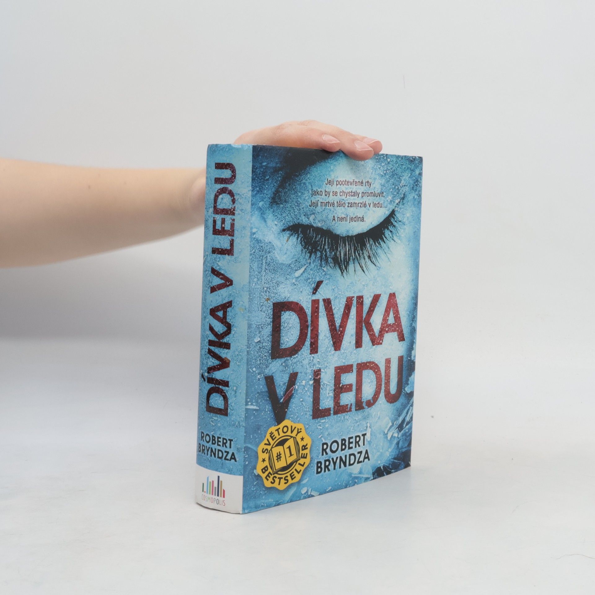 Robert Bryndza Dívka v ledu