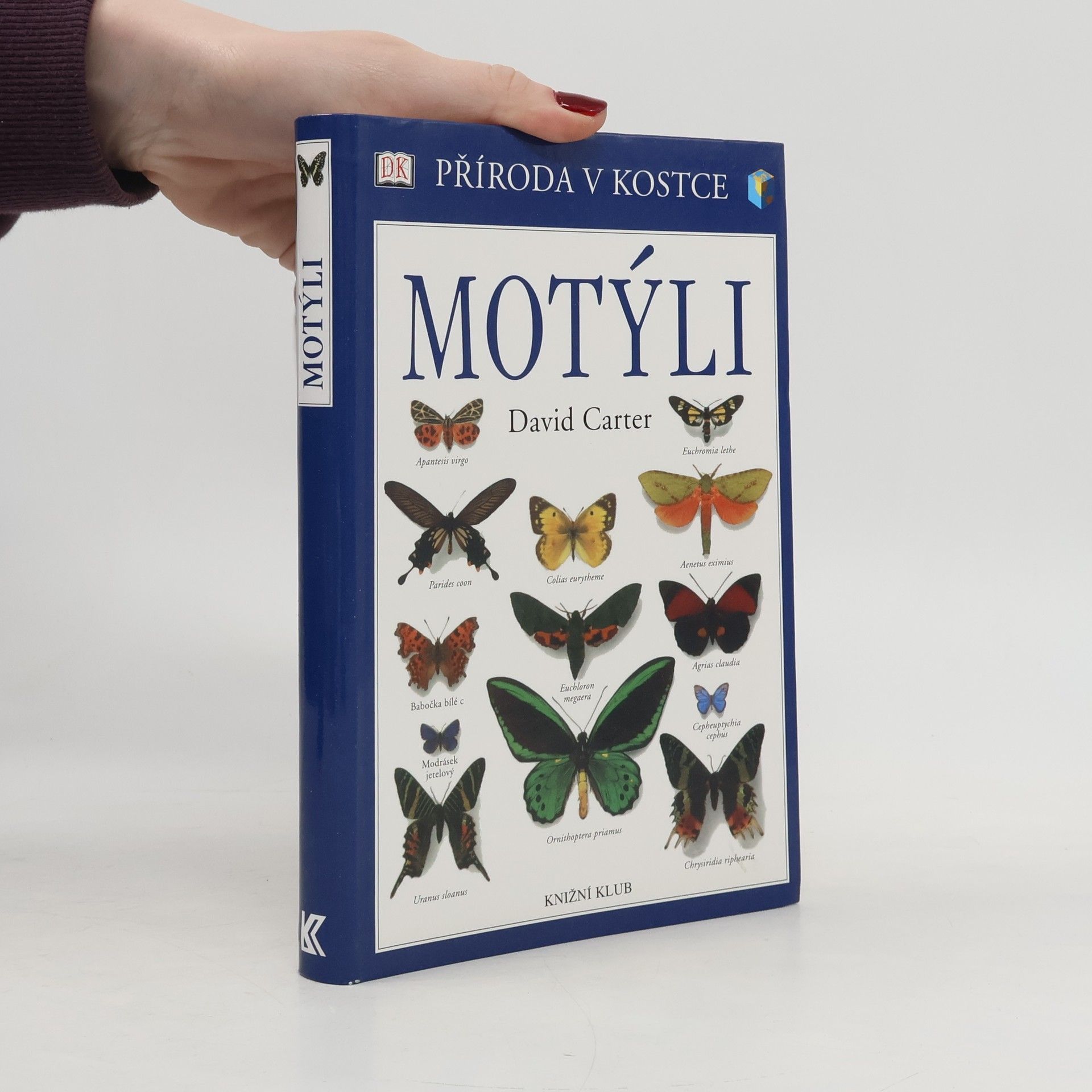 David Carter Motýli