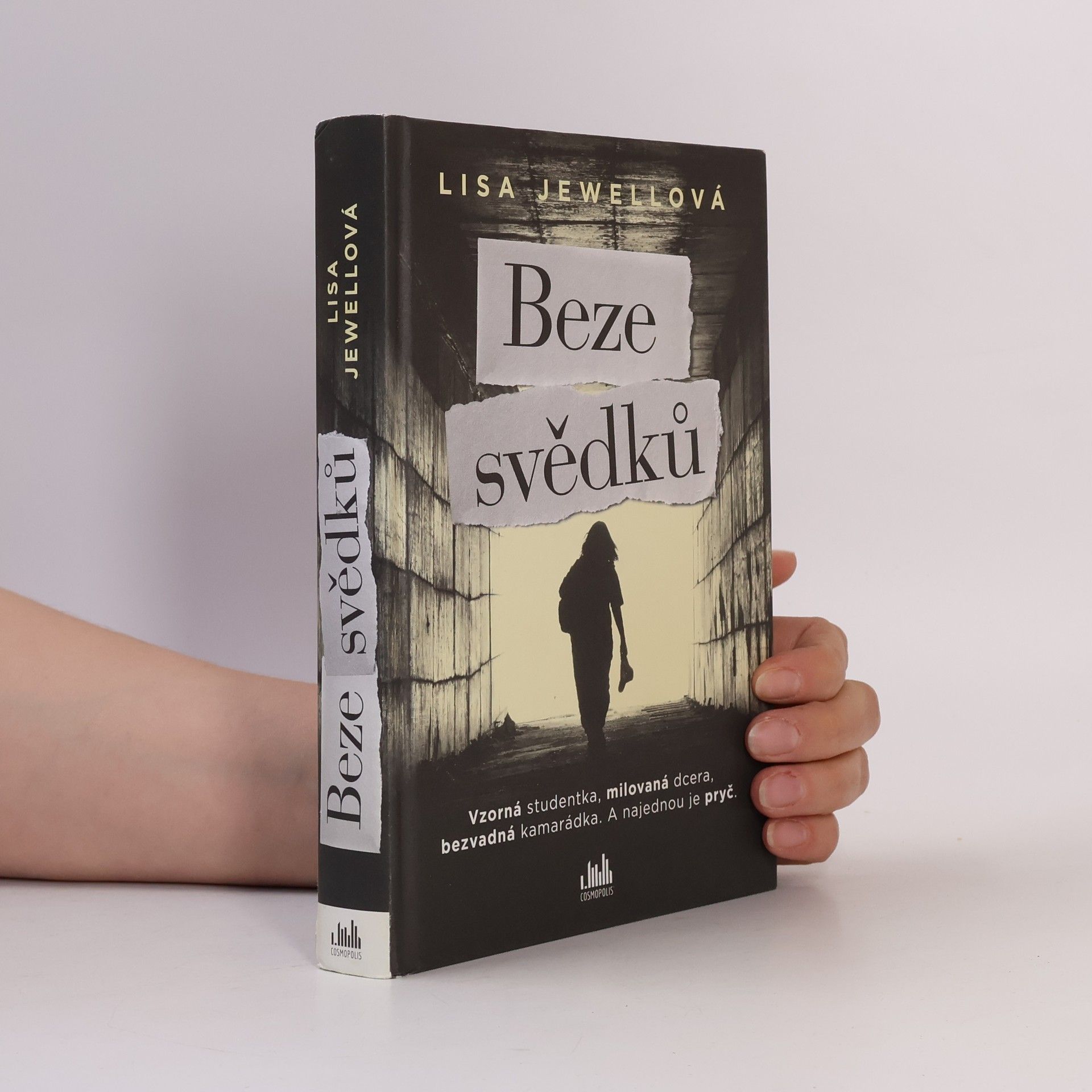 Lisa Jewell Beze svědků