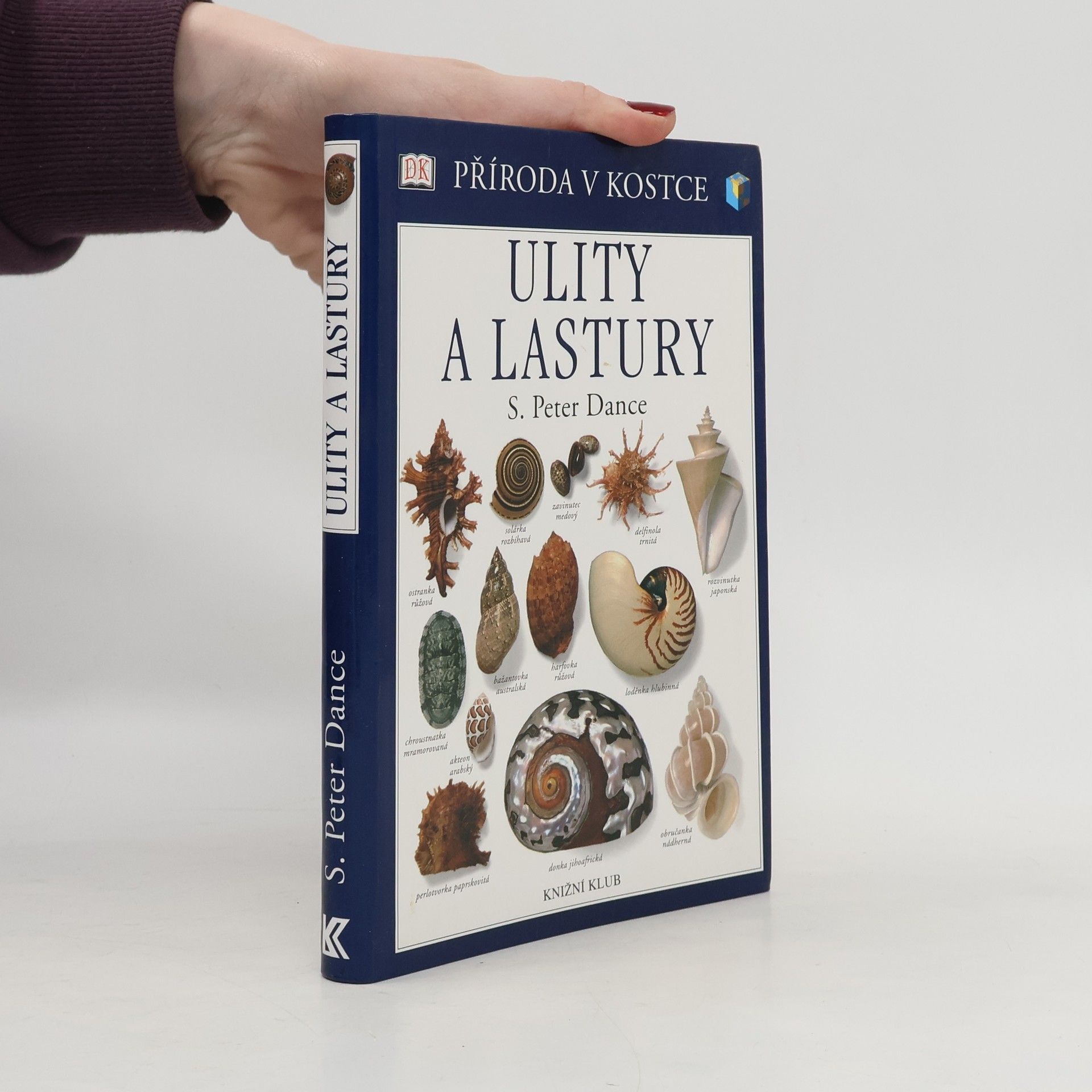 S. Peter Dance Ulity a lastury