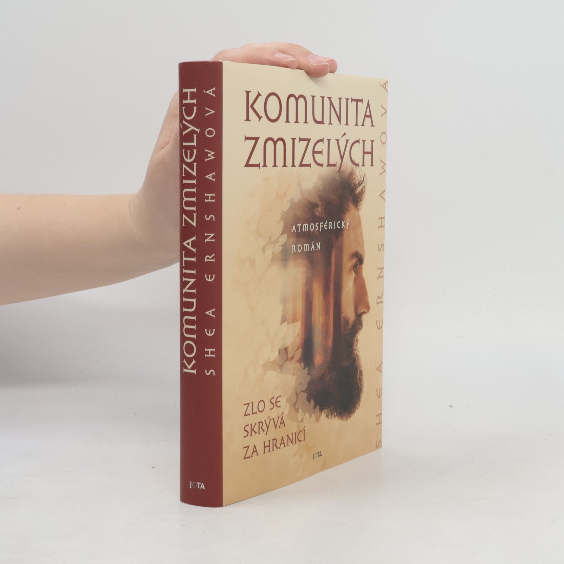 Shea Ernshaw Komunita zmizelých