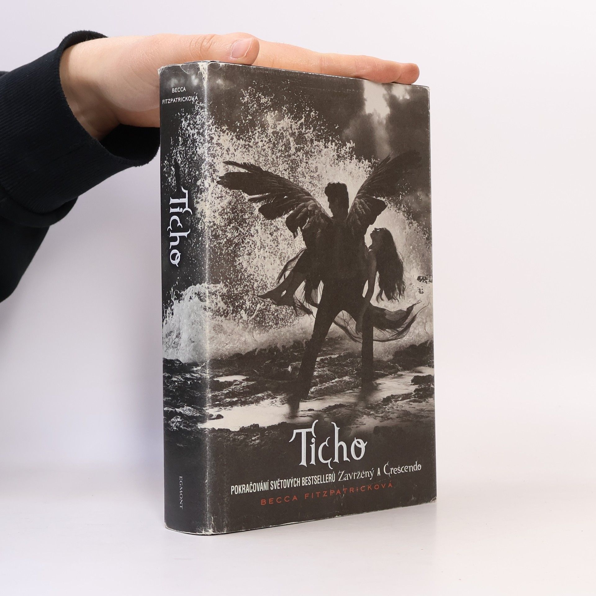 Becca Fitzpatrick Ticho