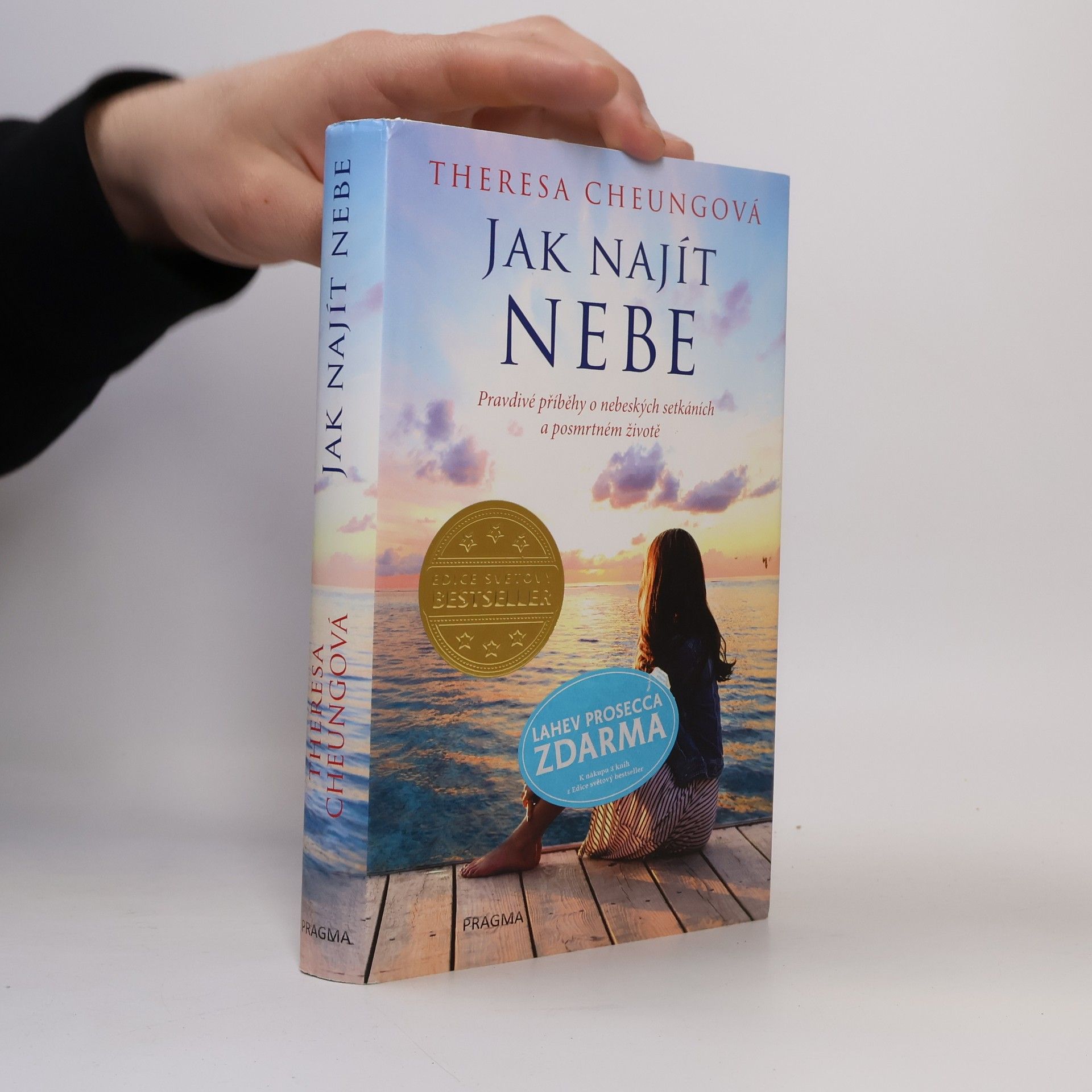 Theresa Francis-Cheung Jak najít nebe - Pravdivé příběhy o nebeských setkáních a posmrtném životě