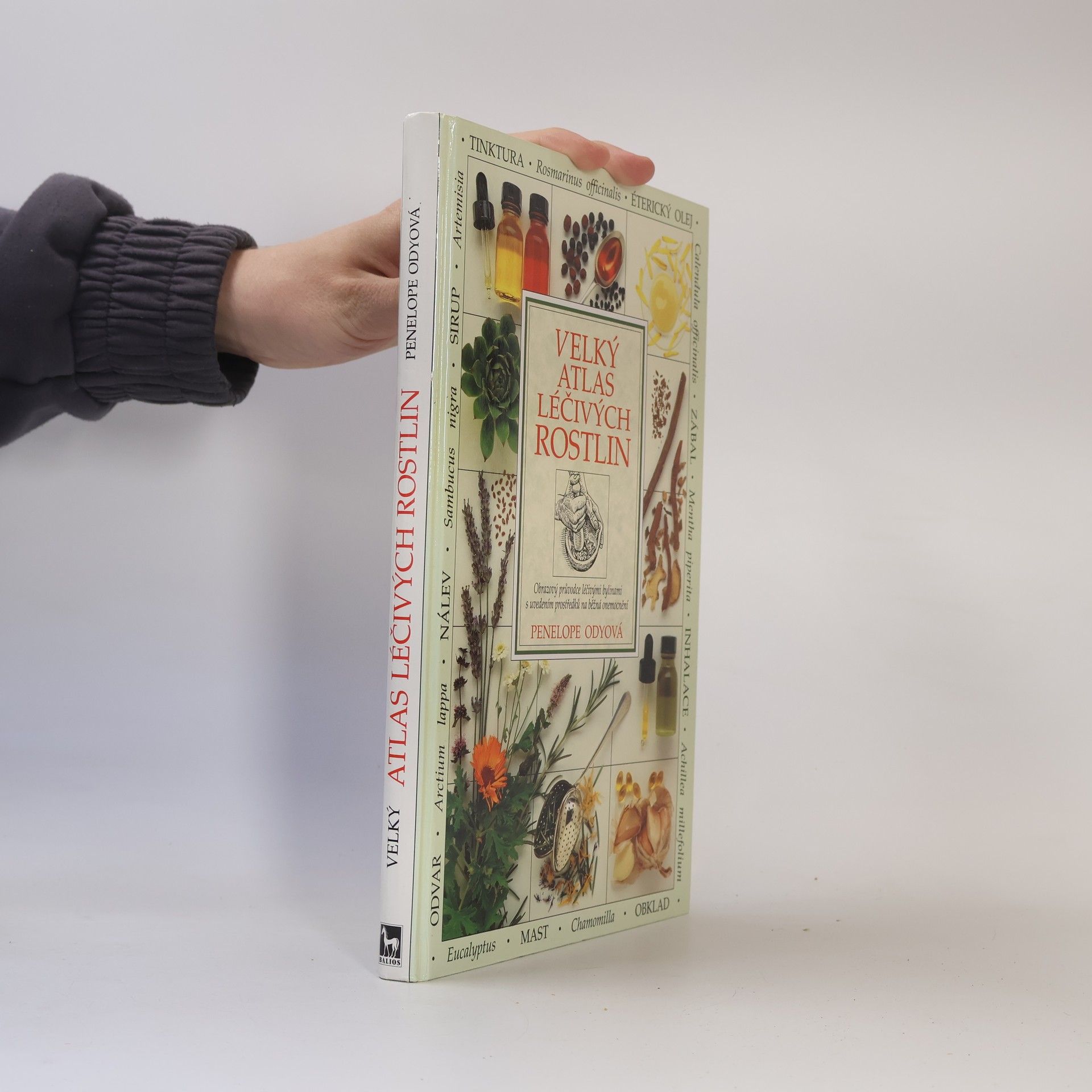 Penelope Ody Velký atlas léčivých rostlin