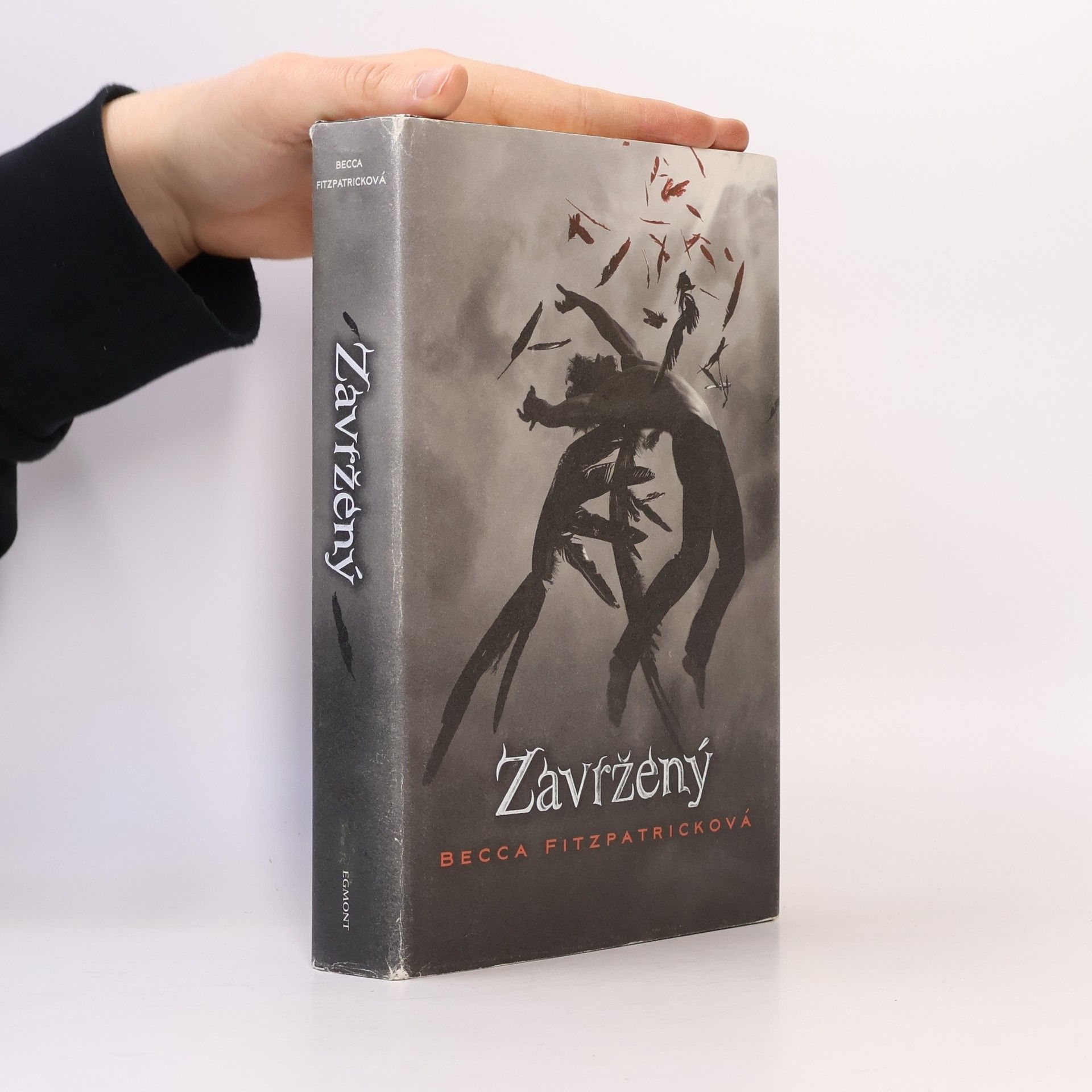Becca Fitzpatricková Zavržený