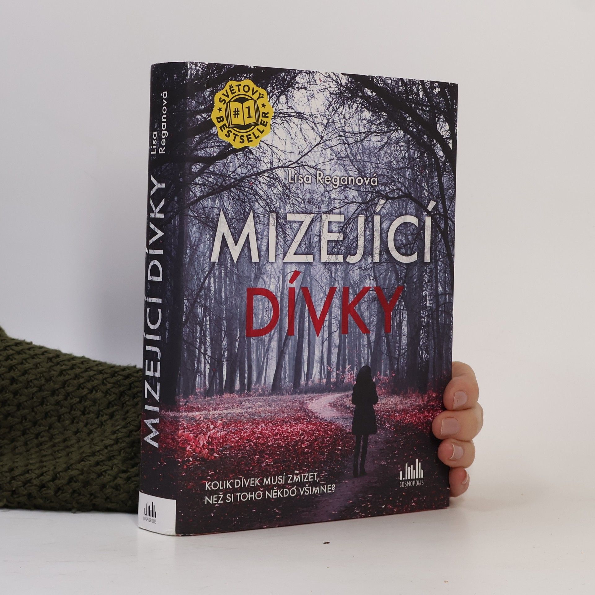 Lisa Regan Mizející dívky