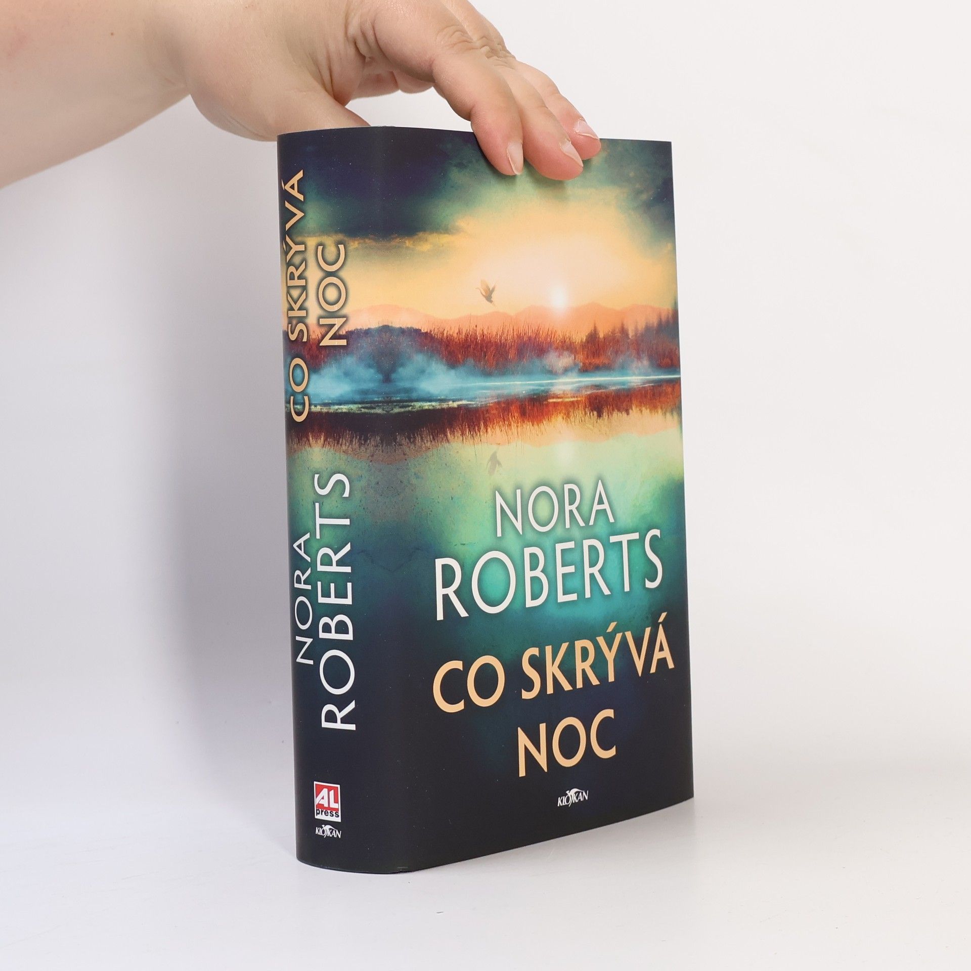 Nora Roberts Co skrývá noc