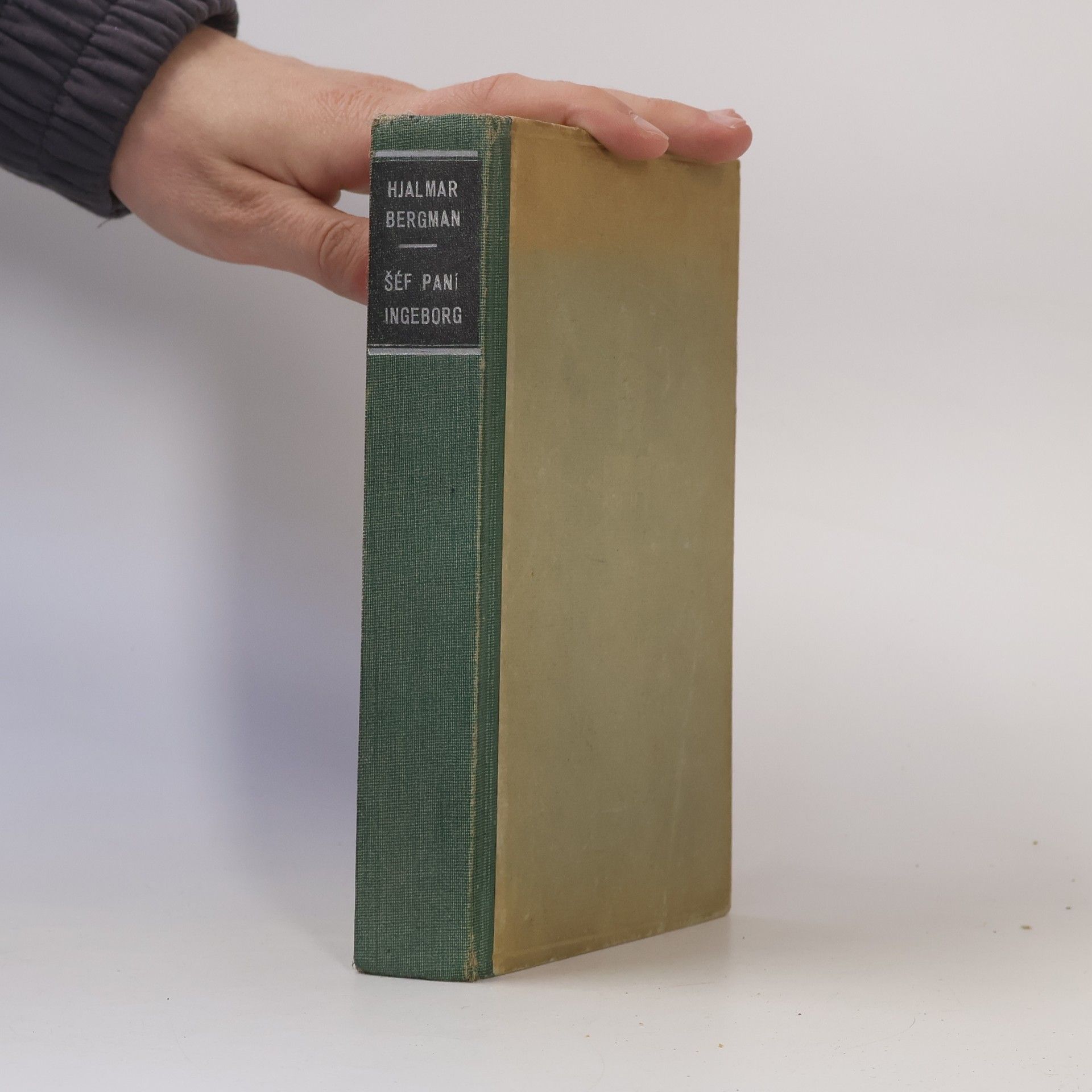 Šéf paní Ingeborg