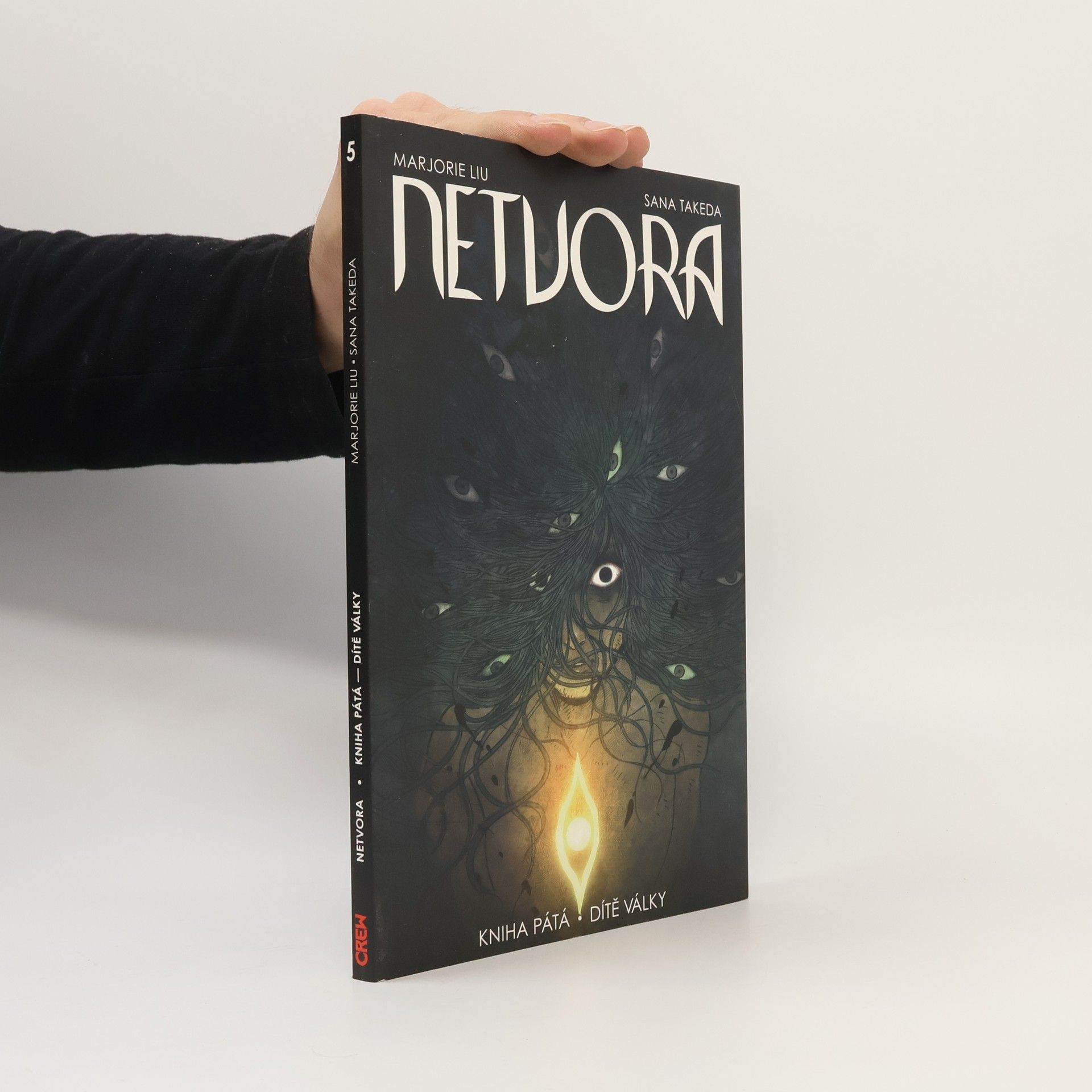 Marjorie Liu Netvora. Kniha pátá, Dítě války