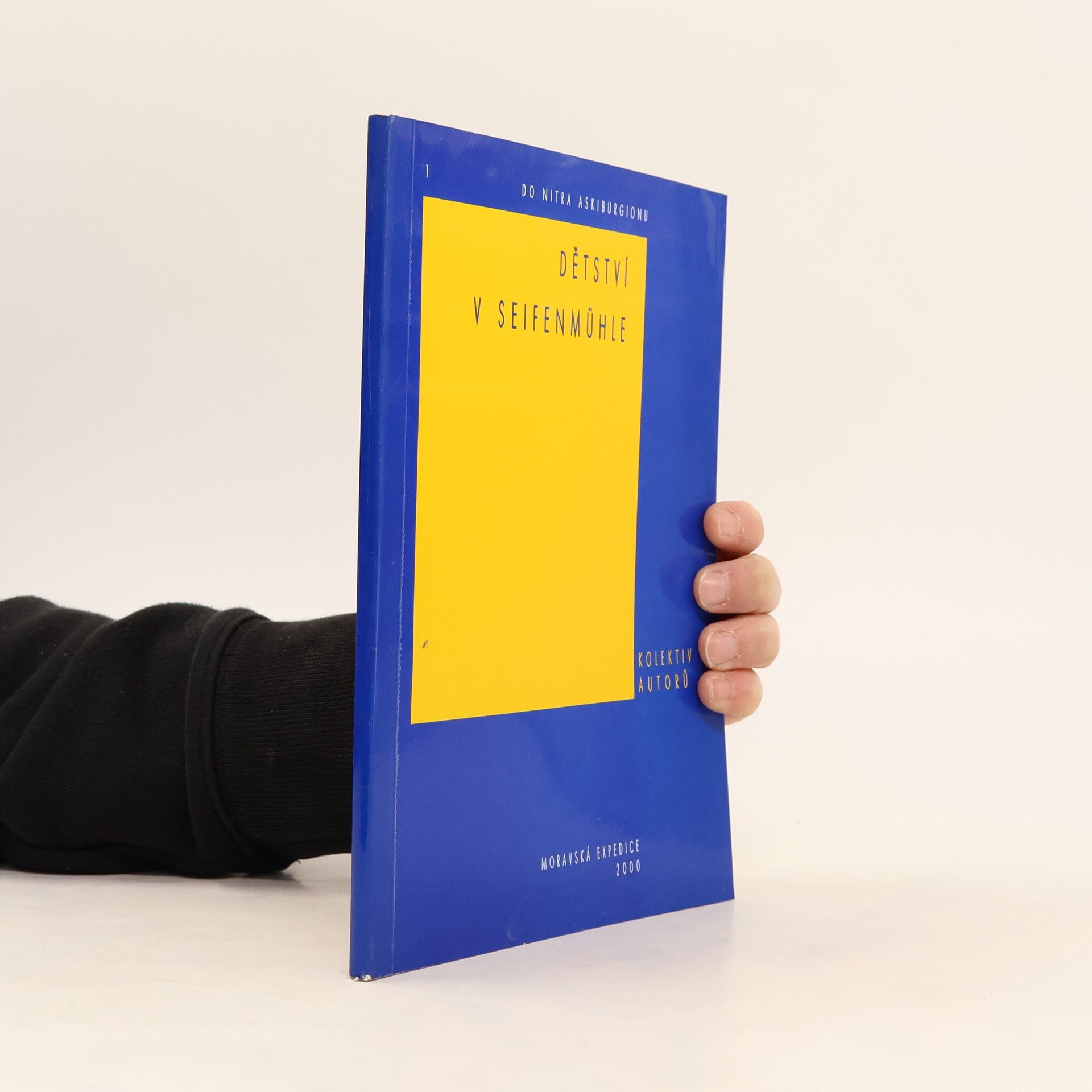 Kolektív autorov Dětství v Seifenmühle