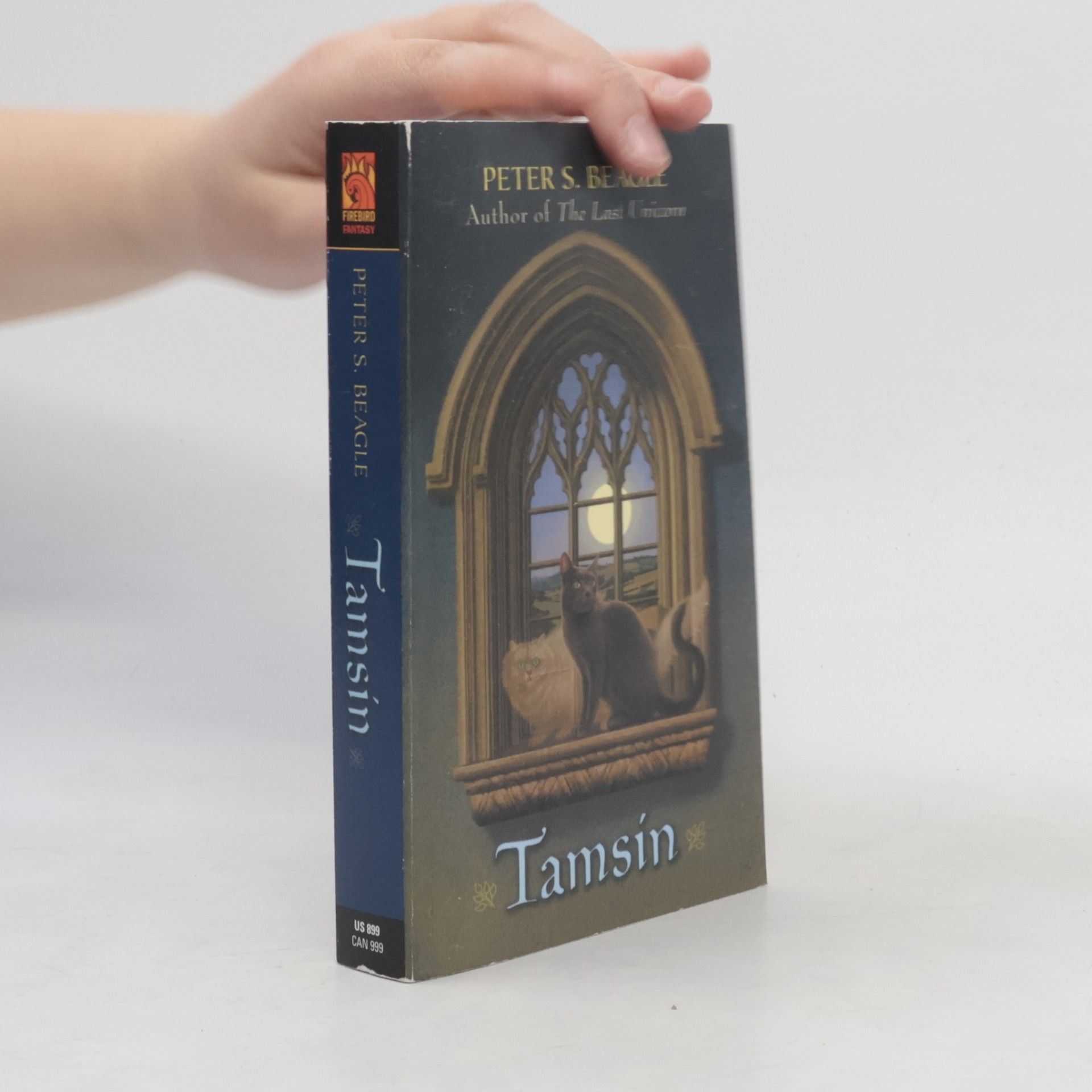 Peter S. Beagle Tamsin