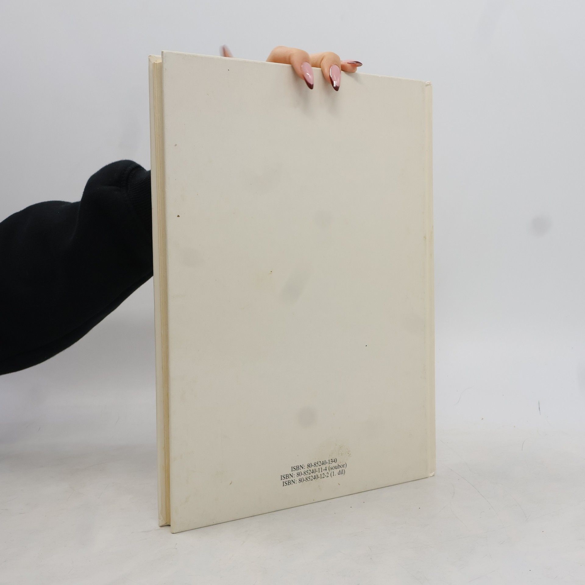 Alena Boráková Dětská bible. Nový zákon