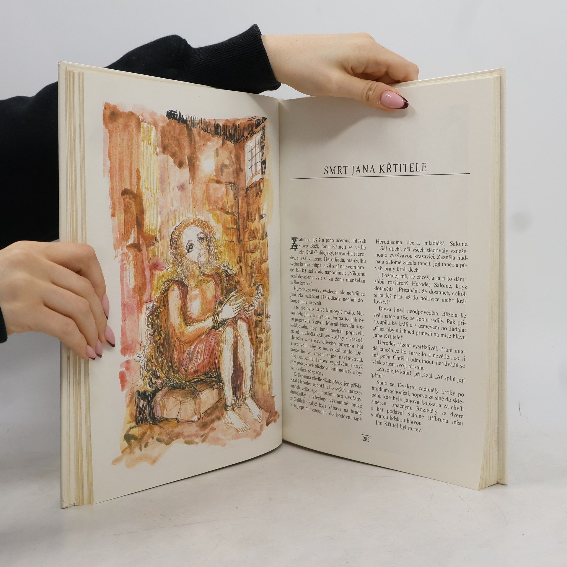 Alena Boráková Dětská bible. Nový zákon