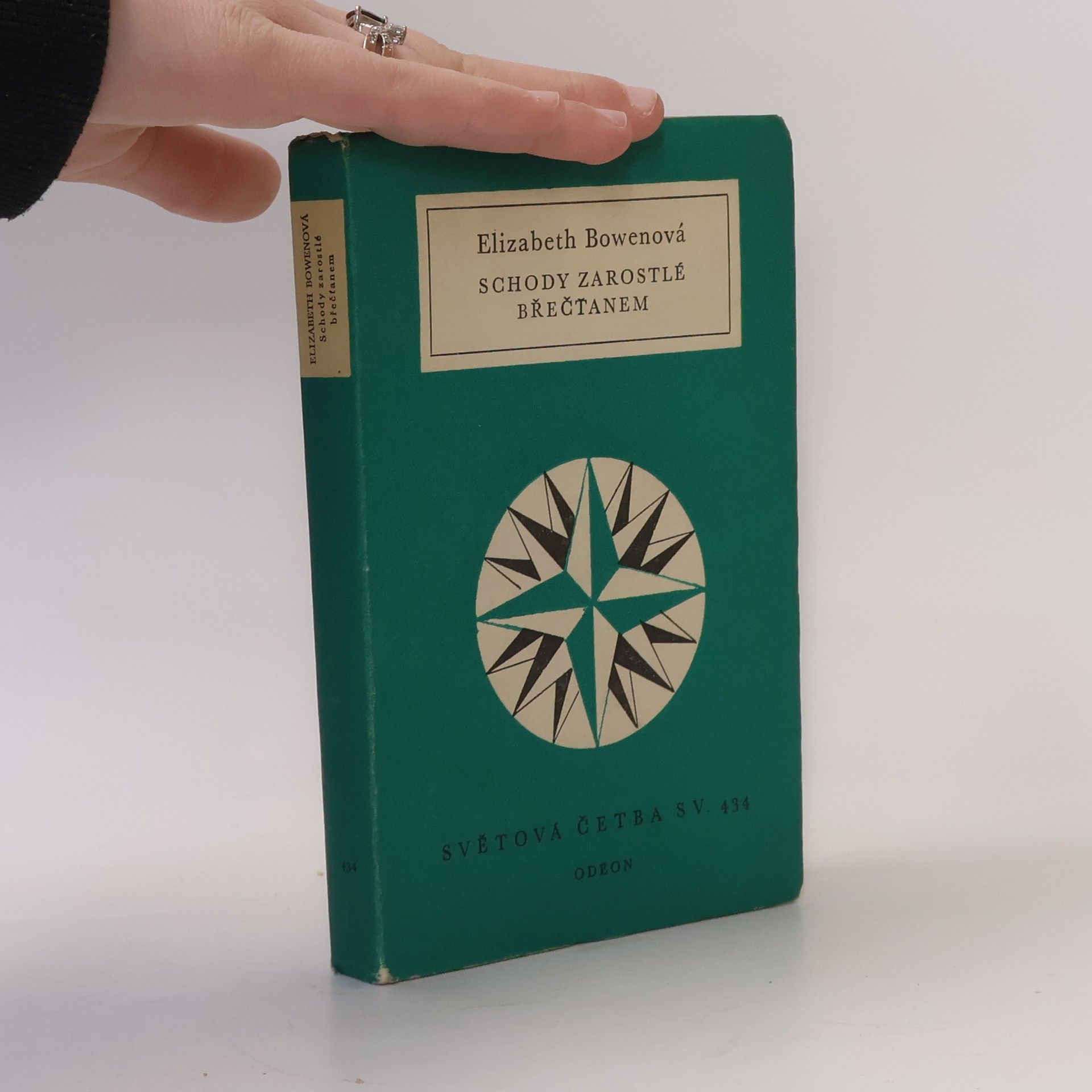 Elizabeth Bowen Schody zarostlé břečťanem