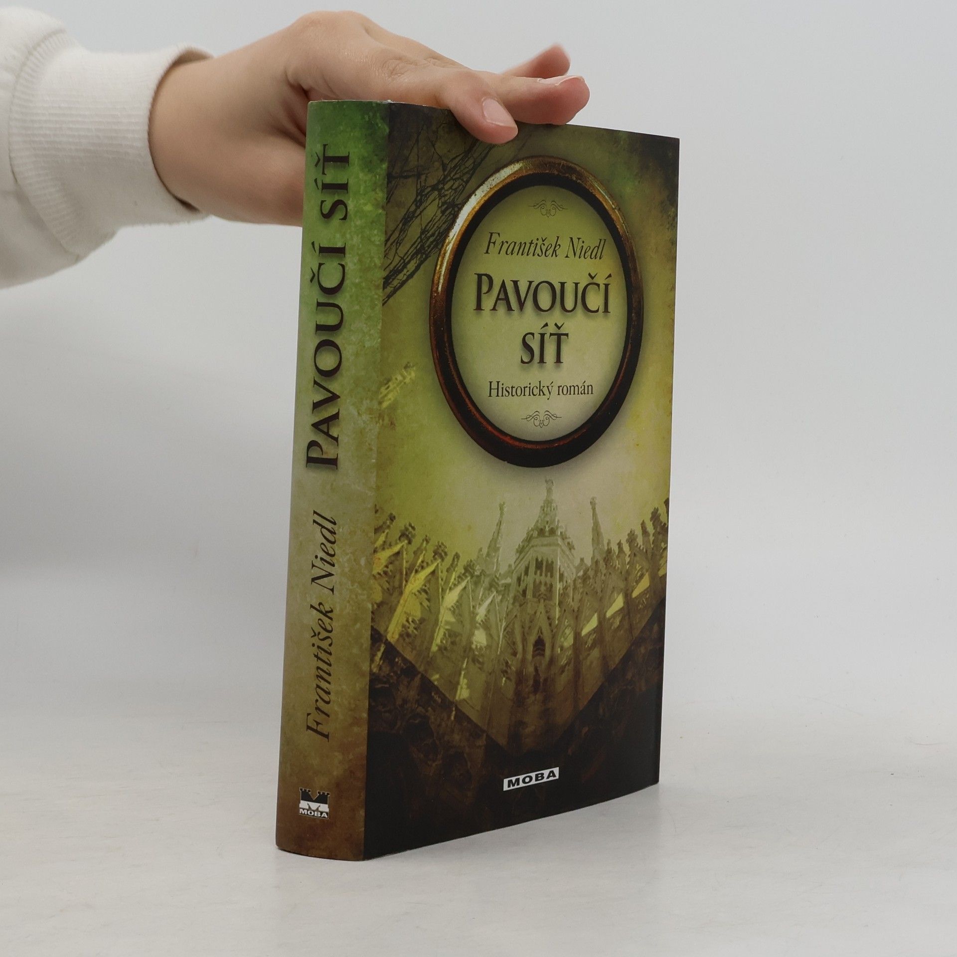 František Niedl Pavoučí síť : historický román