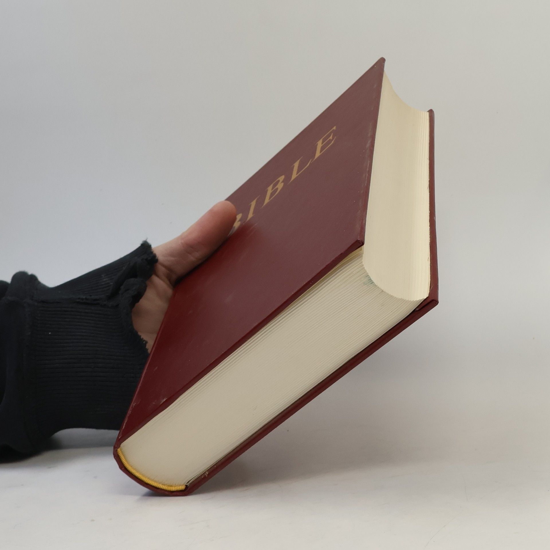 Kolektiv autorů Bible. Písmo svaté Starého a Nového zákona. Podle ekumenického vydání z r. 1985
