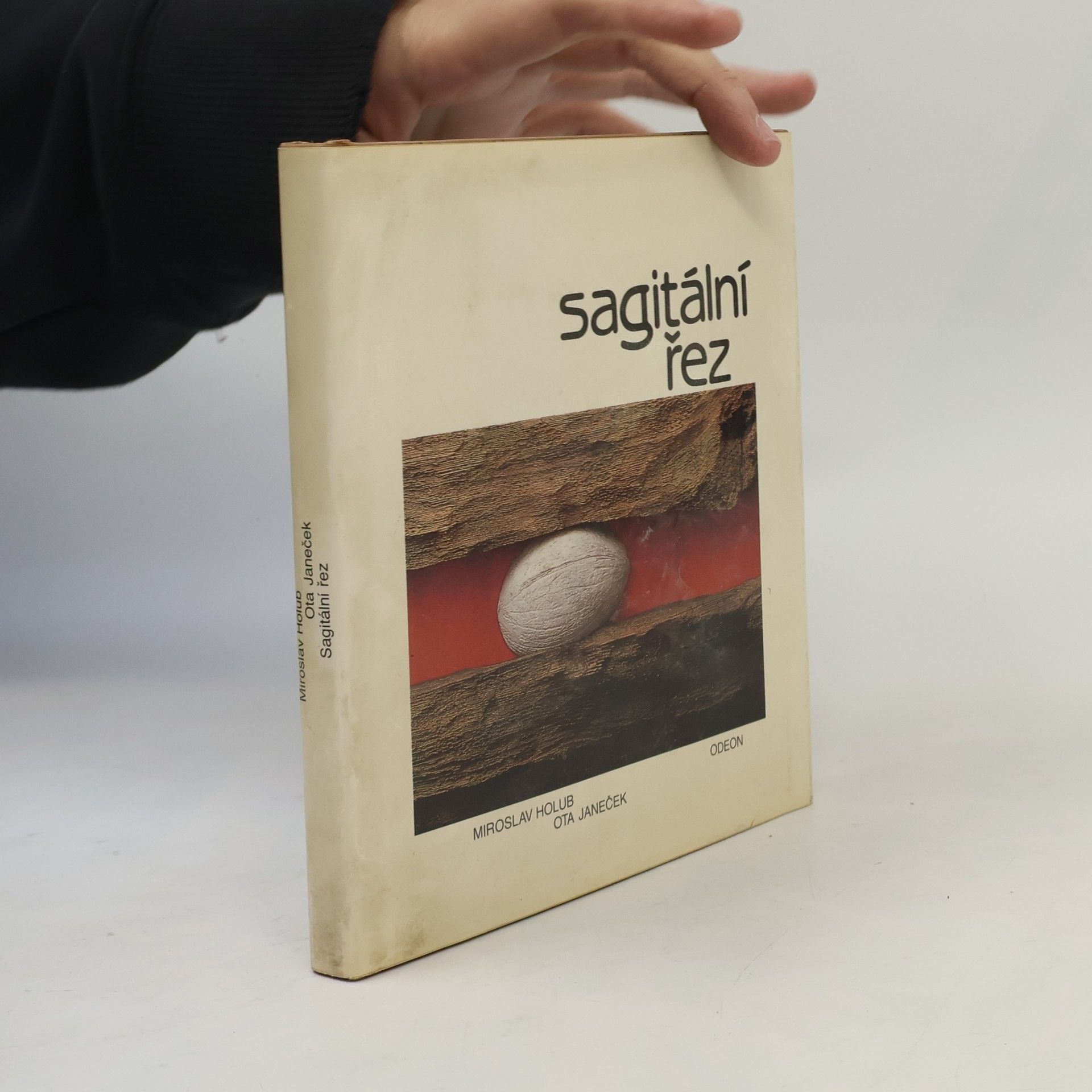 Ota Janeček Sagitální řez