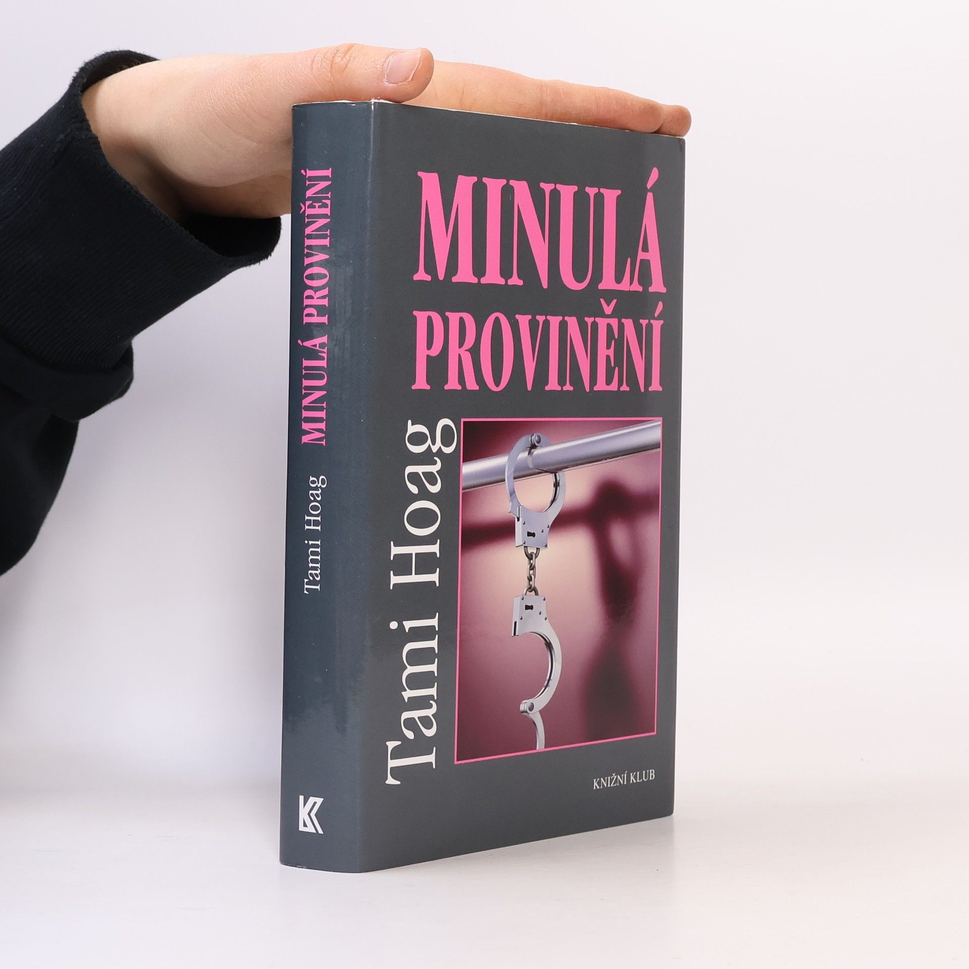 Tami Hoag Minulá provinění