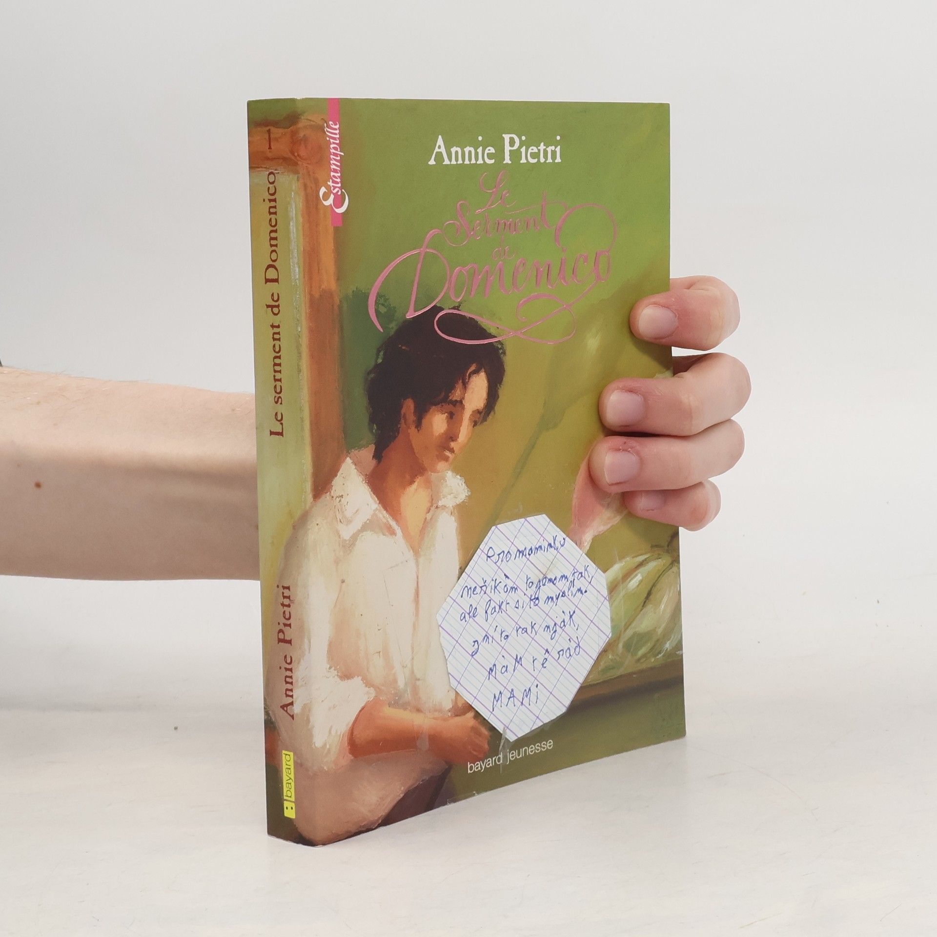 Annie Pietri Le serment de Domenico