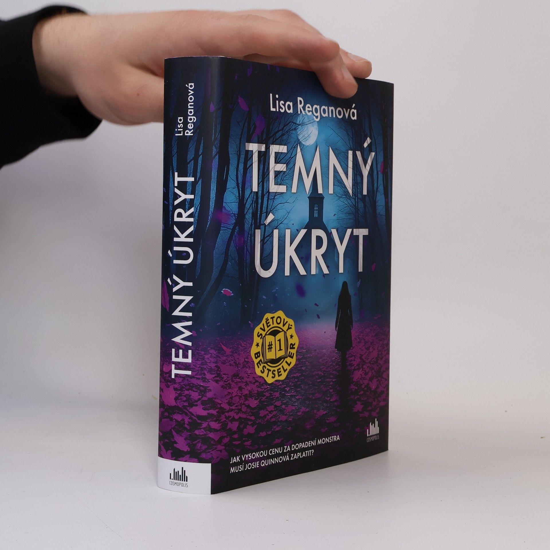 Lisa Regan Temný úkryt