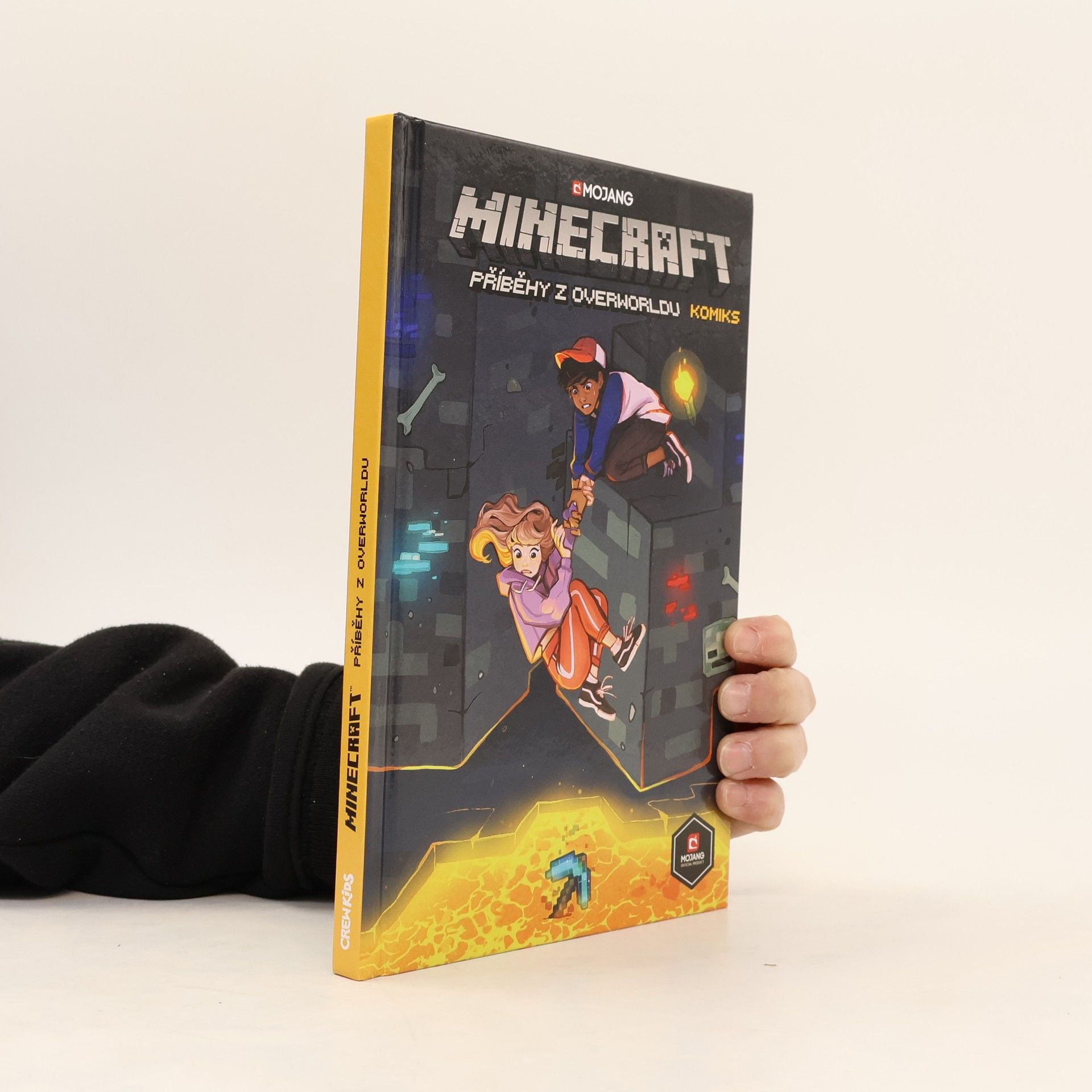 Ian Flynn Minecraft. Příběhy z Overworldu