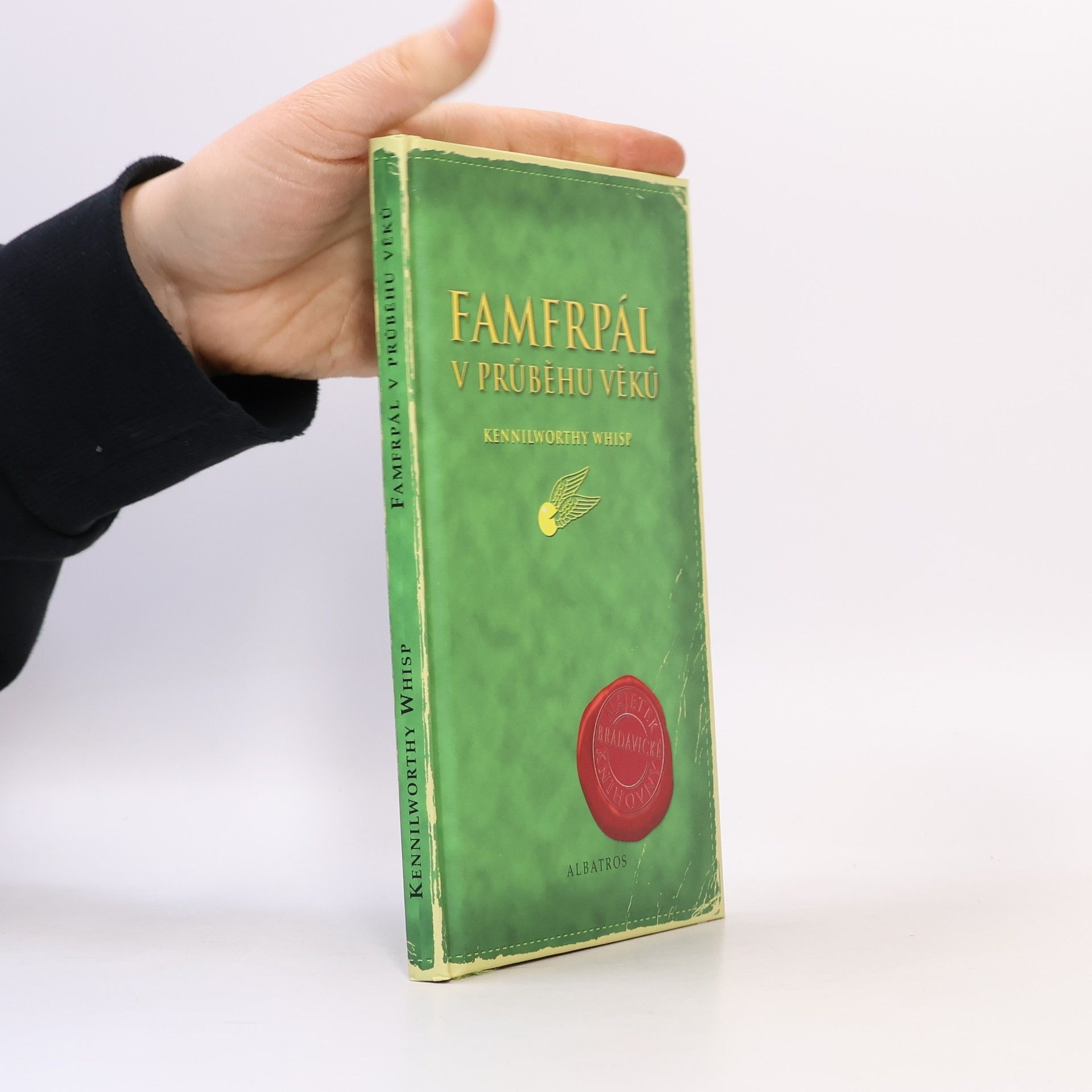 J. K. Rowling Famfrpál v průběhu věků