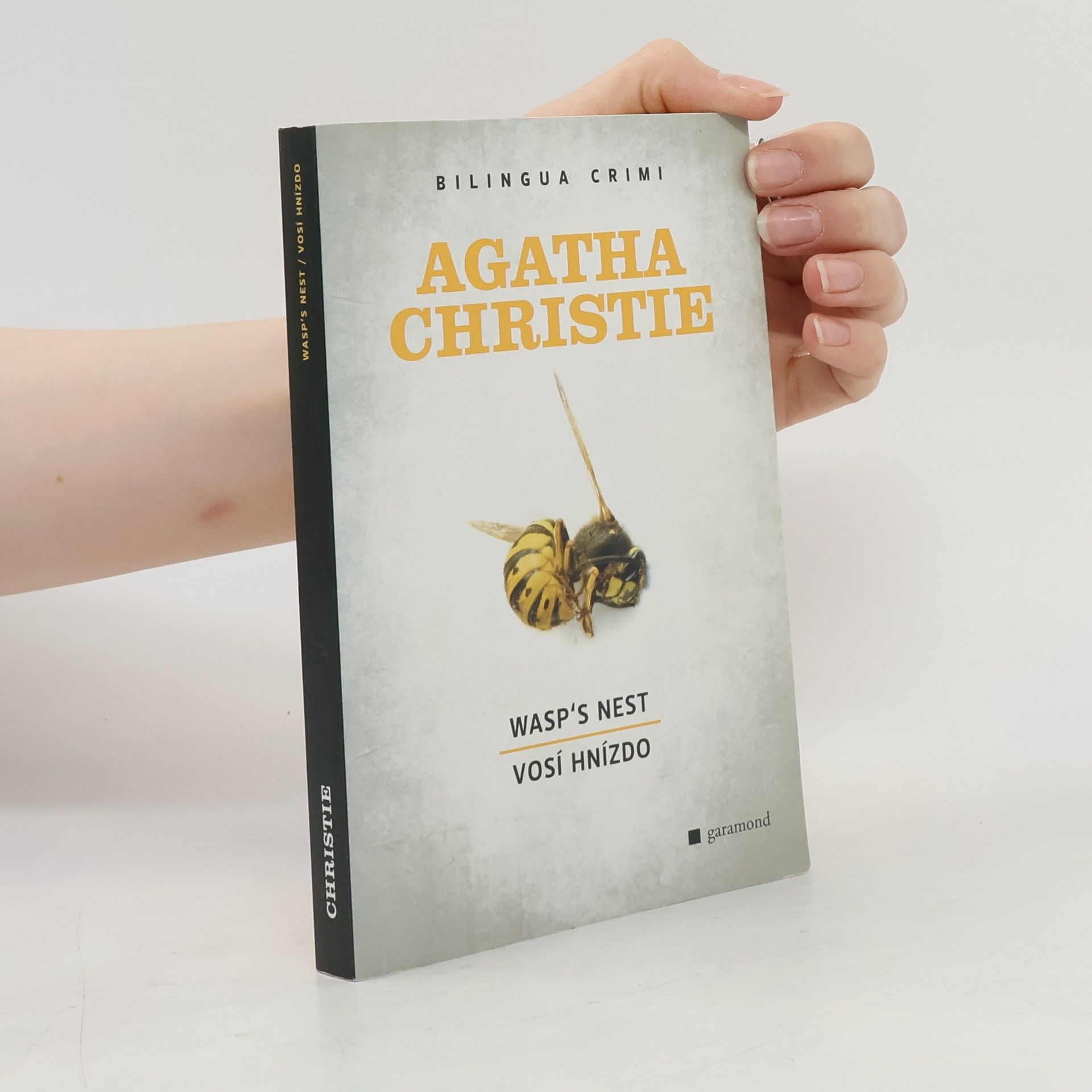 Hana Sichingerová Wasp's Nest. Vosí hnízdo