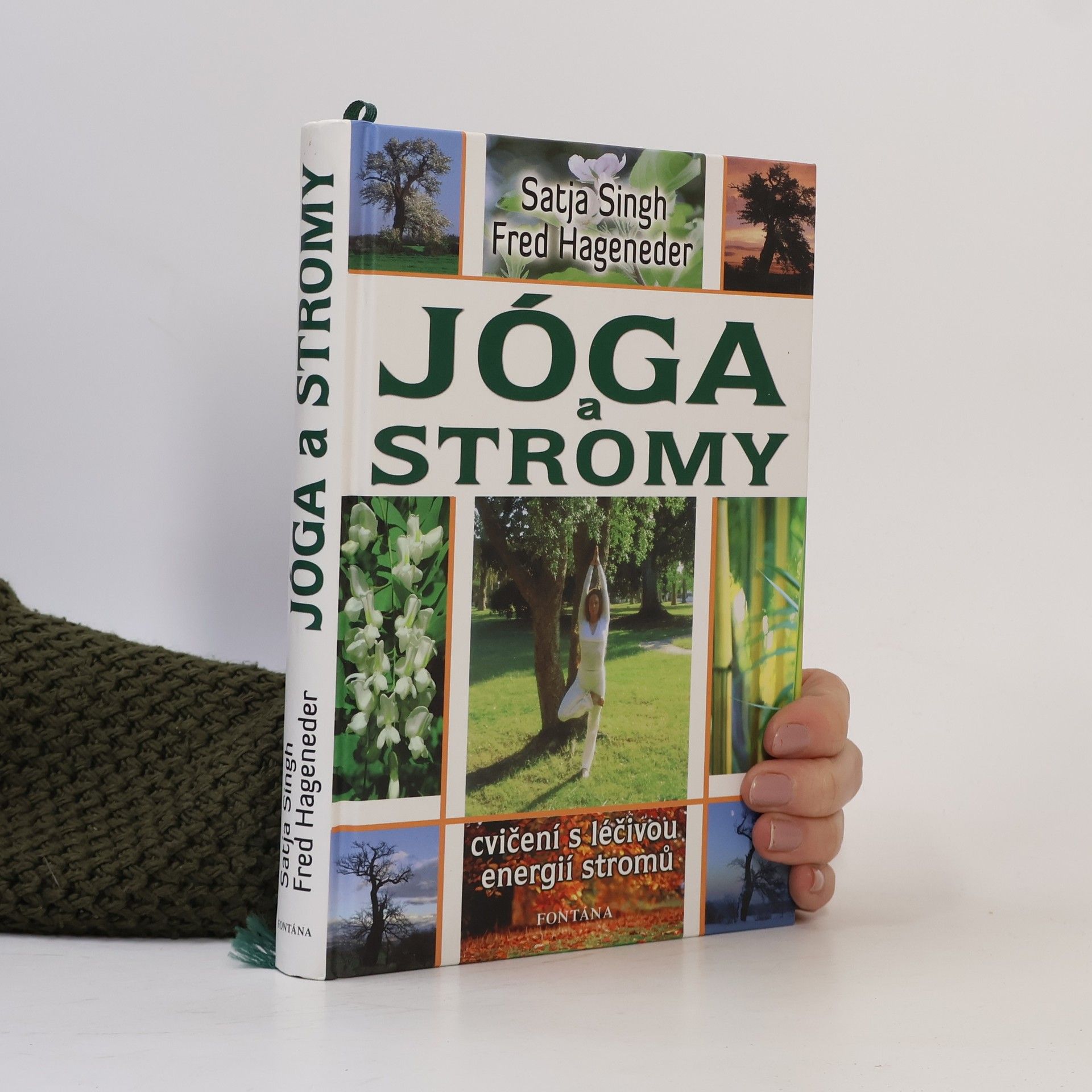 Jóga a stromy: Cvičení s léčivou energií stromů