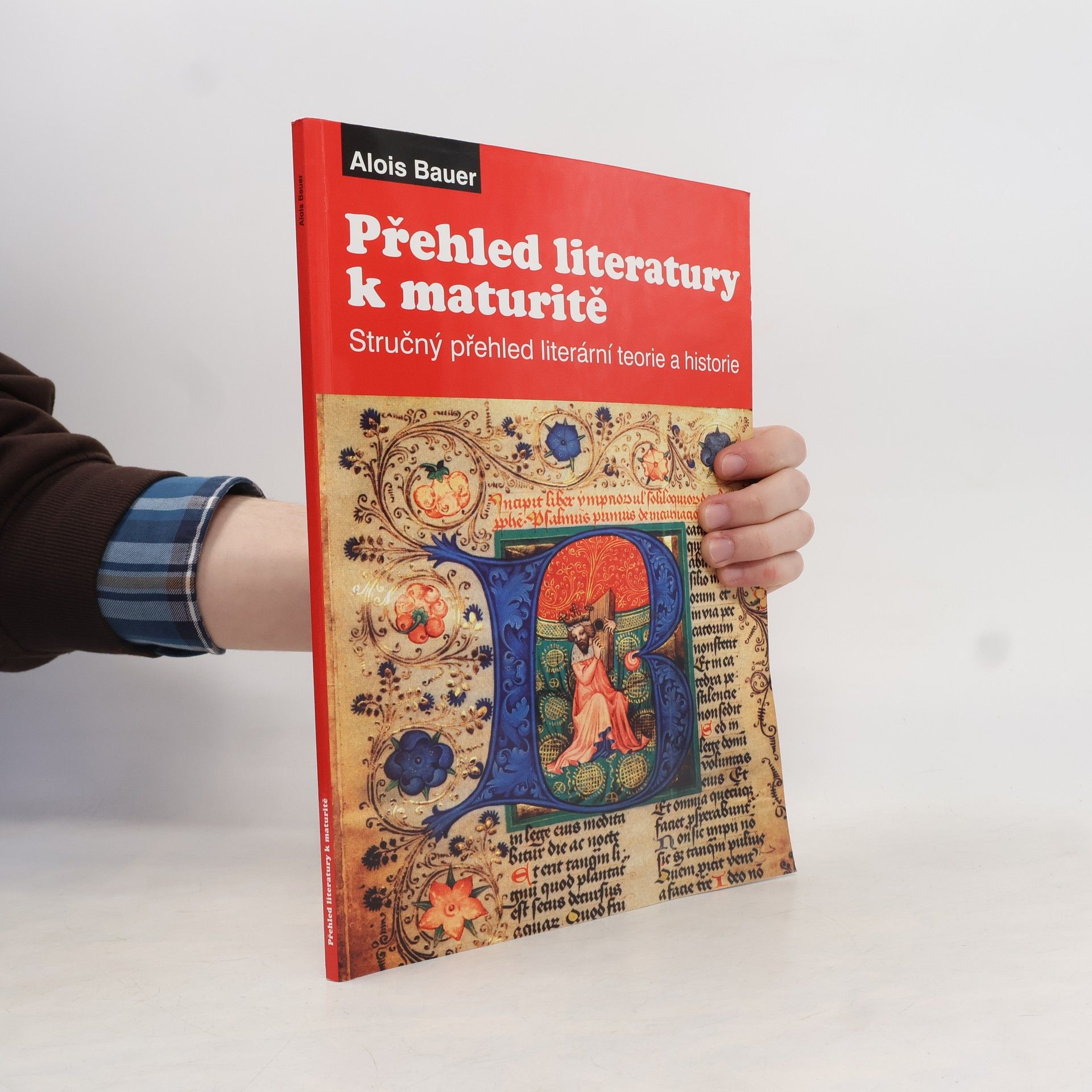 Přehled literatury. Stručný přehled literární teorie a historie pro maturanty