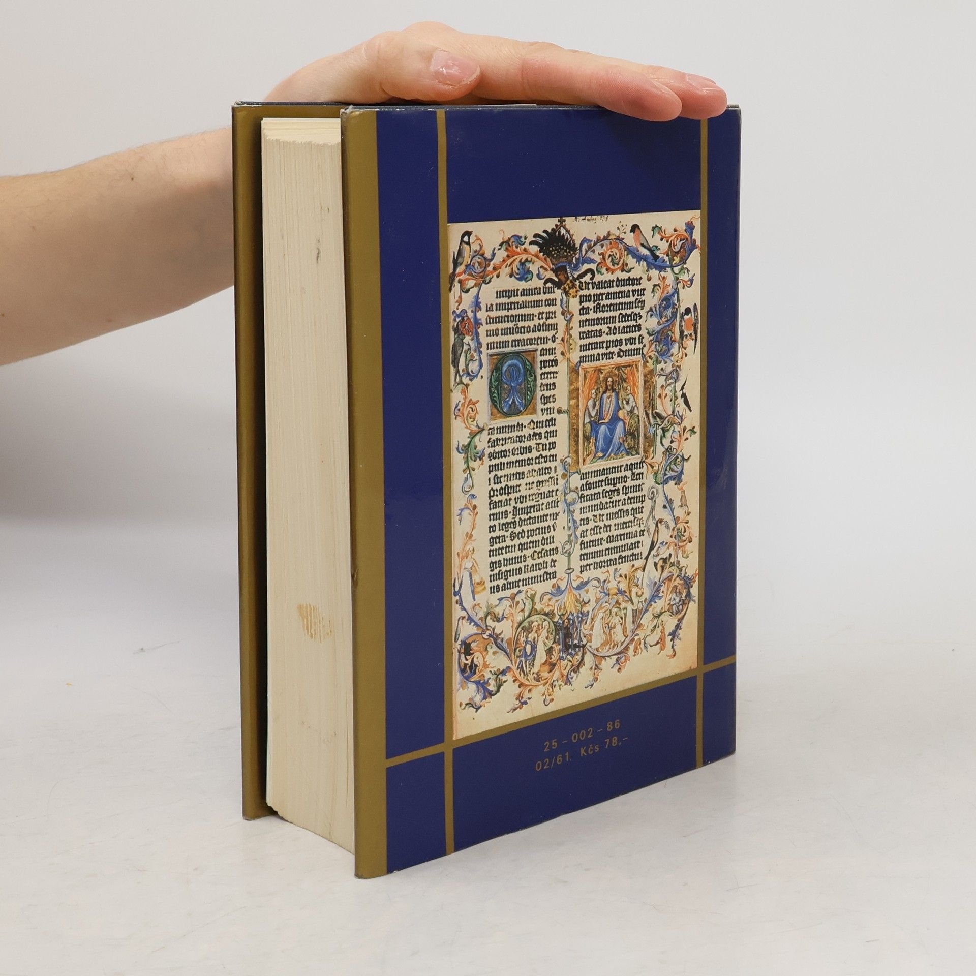 Jiří Spěváček Václav IV. 1361-1419