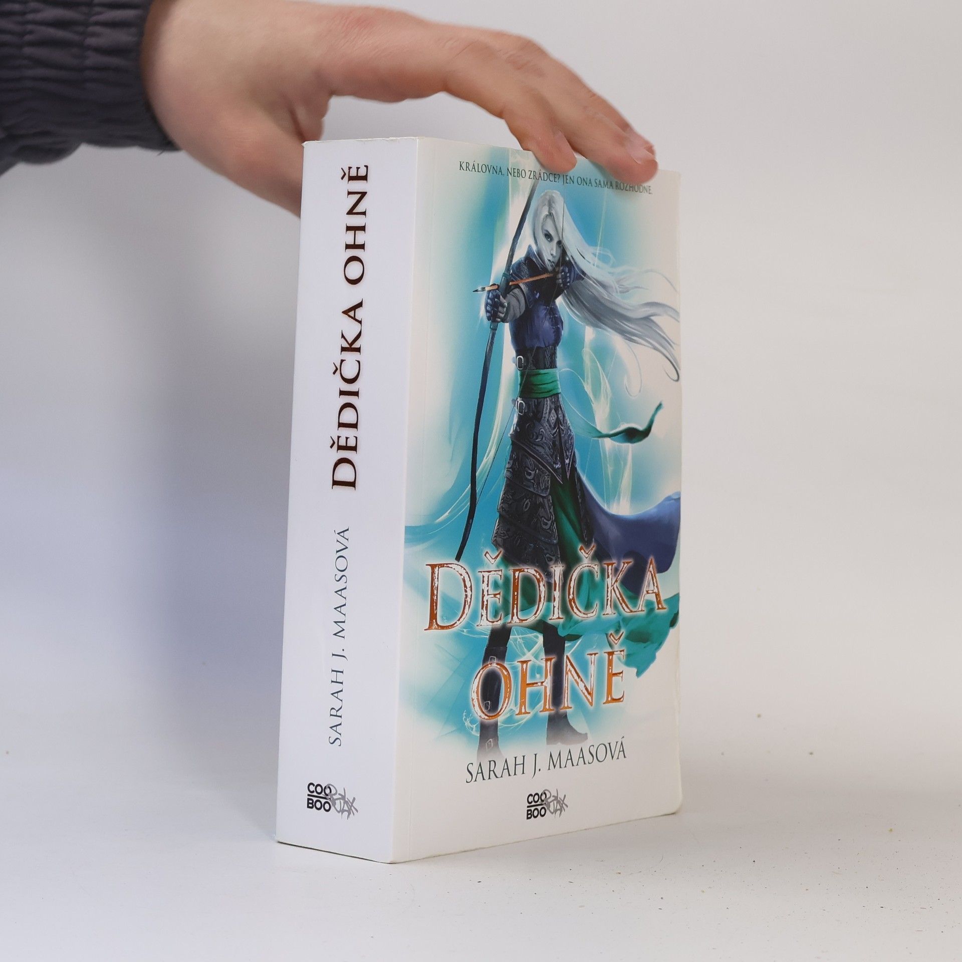 Sarah J. Maas Dědička ohně