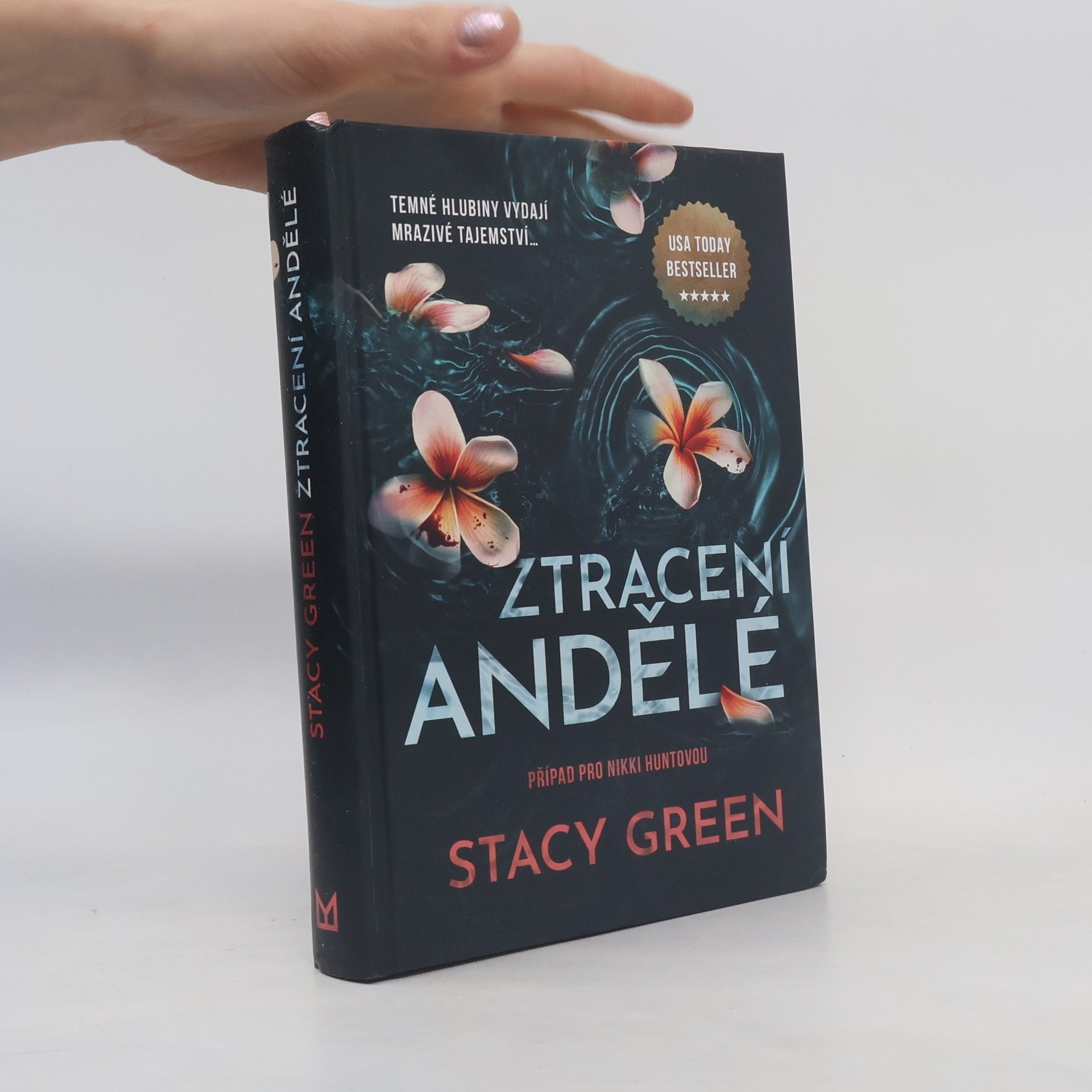 Stacy Green Ztracení andělé