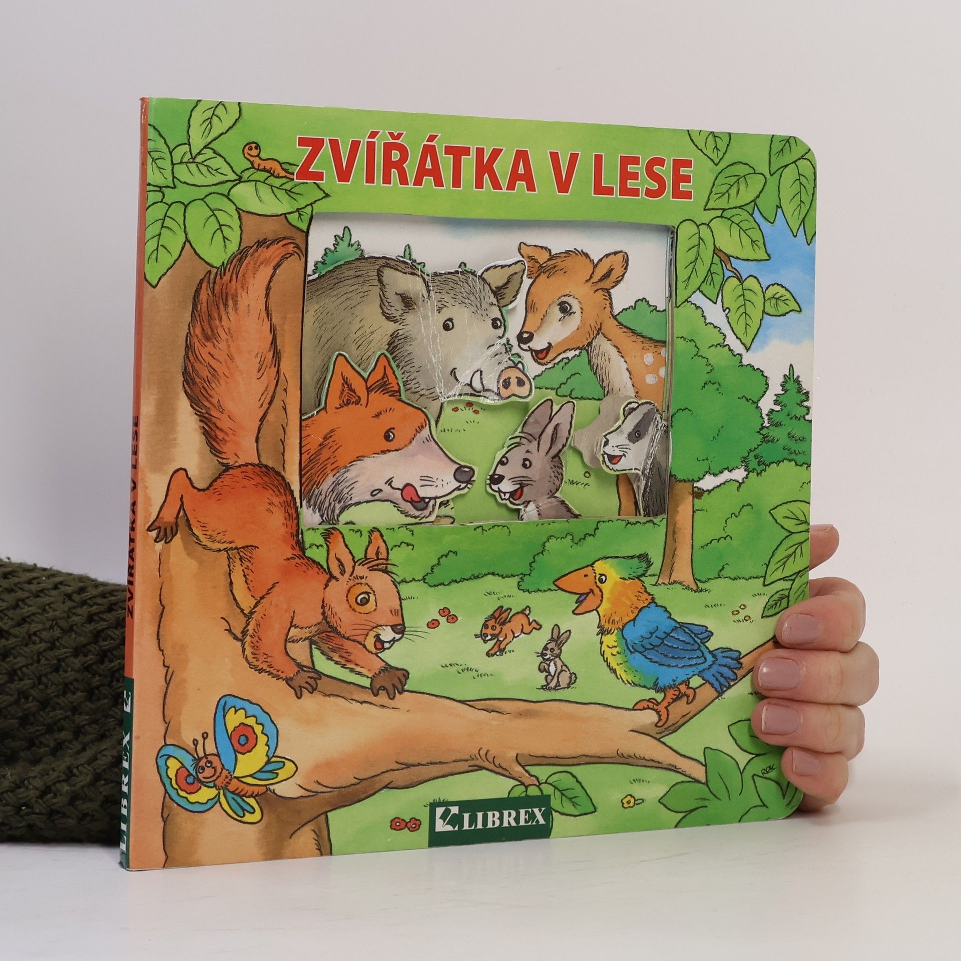 Zvířátka v lese