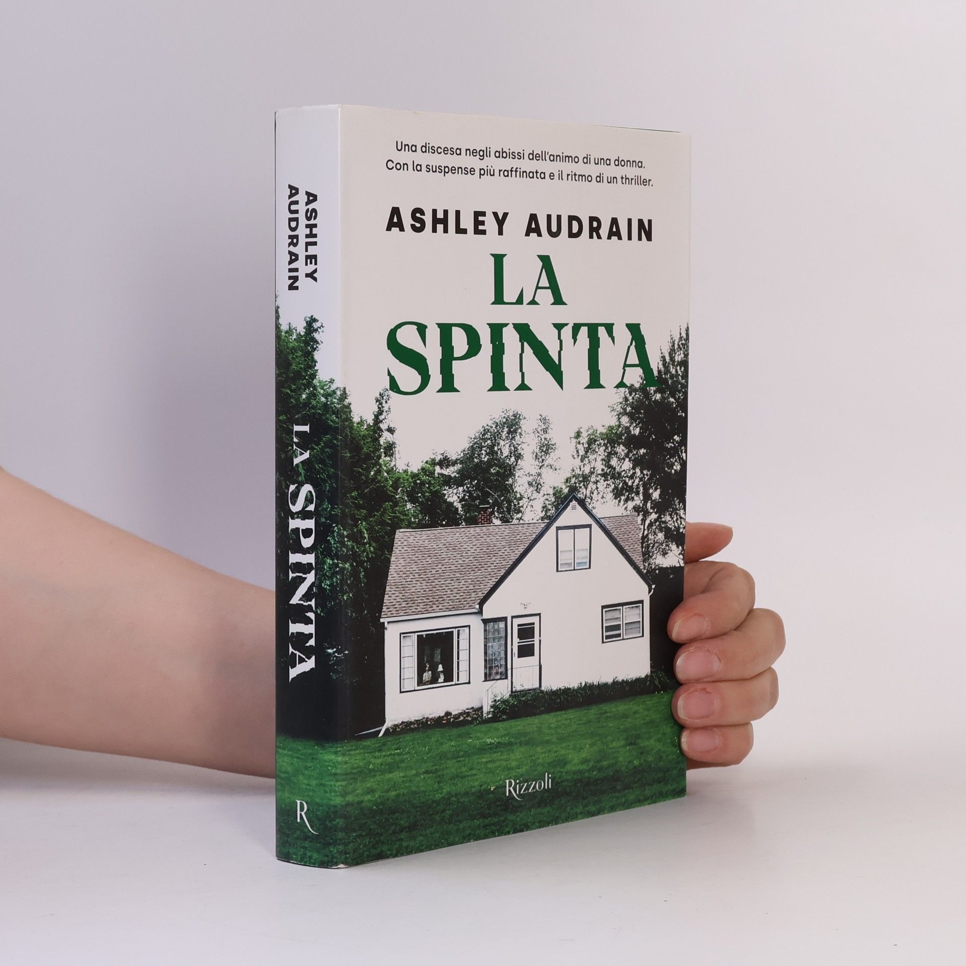 Ashley Audrain La spinta