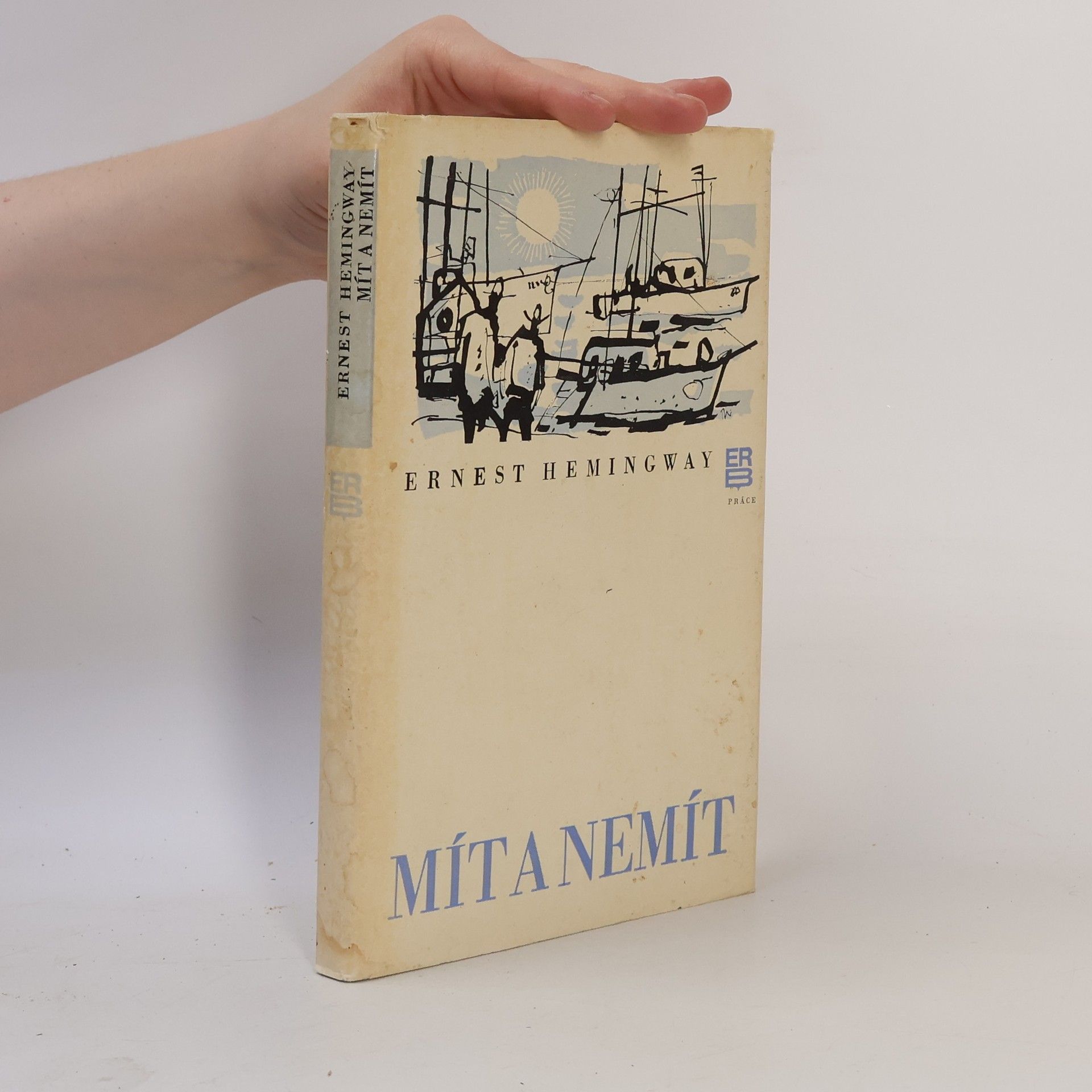 Ernest Hemingway Mít a nemít