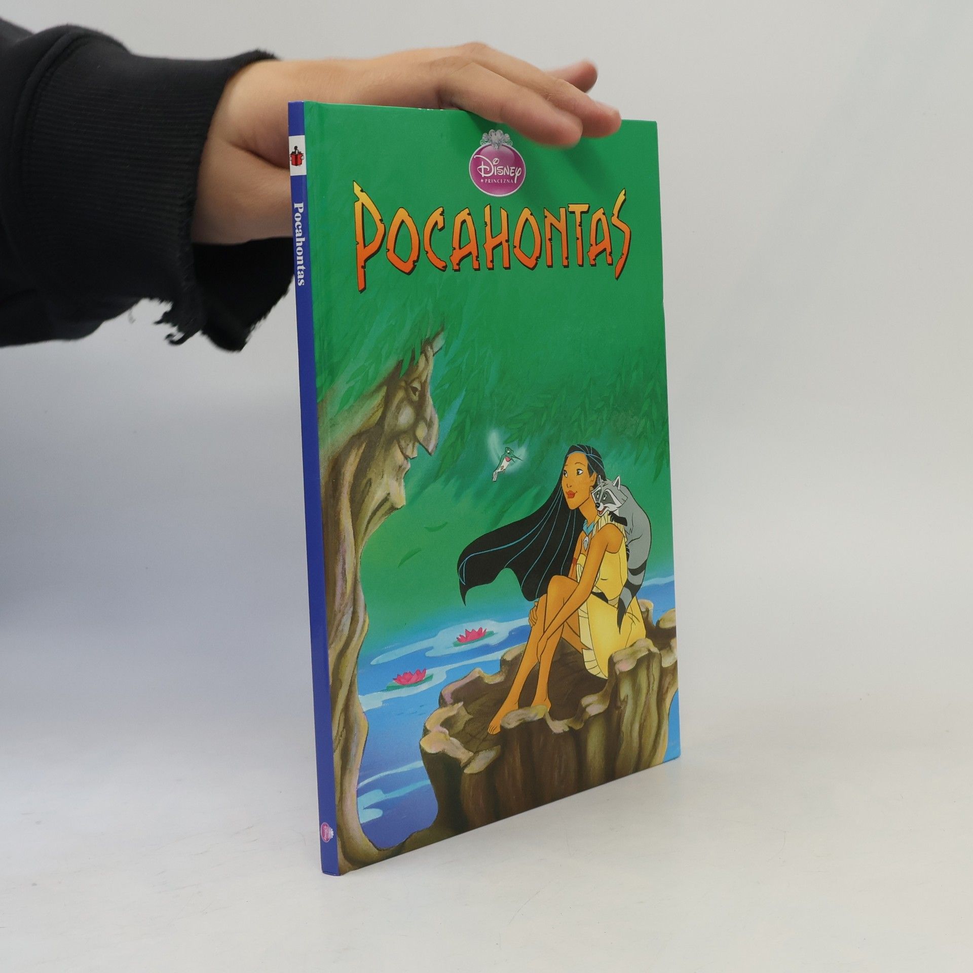 Walt Disney Pocahontas