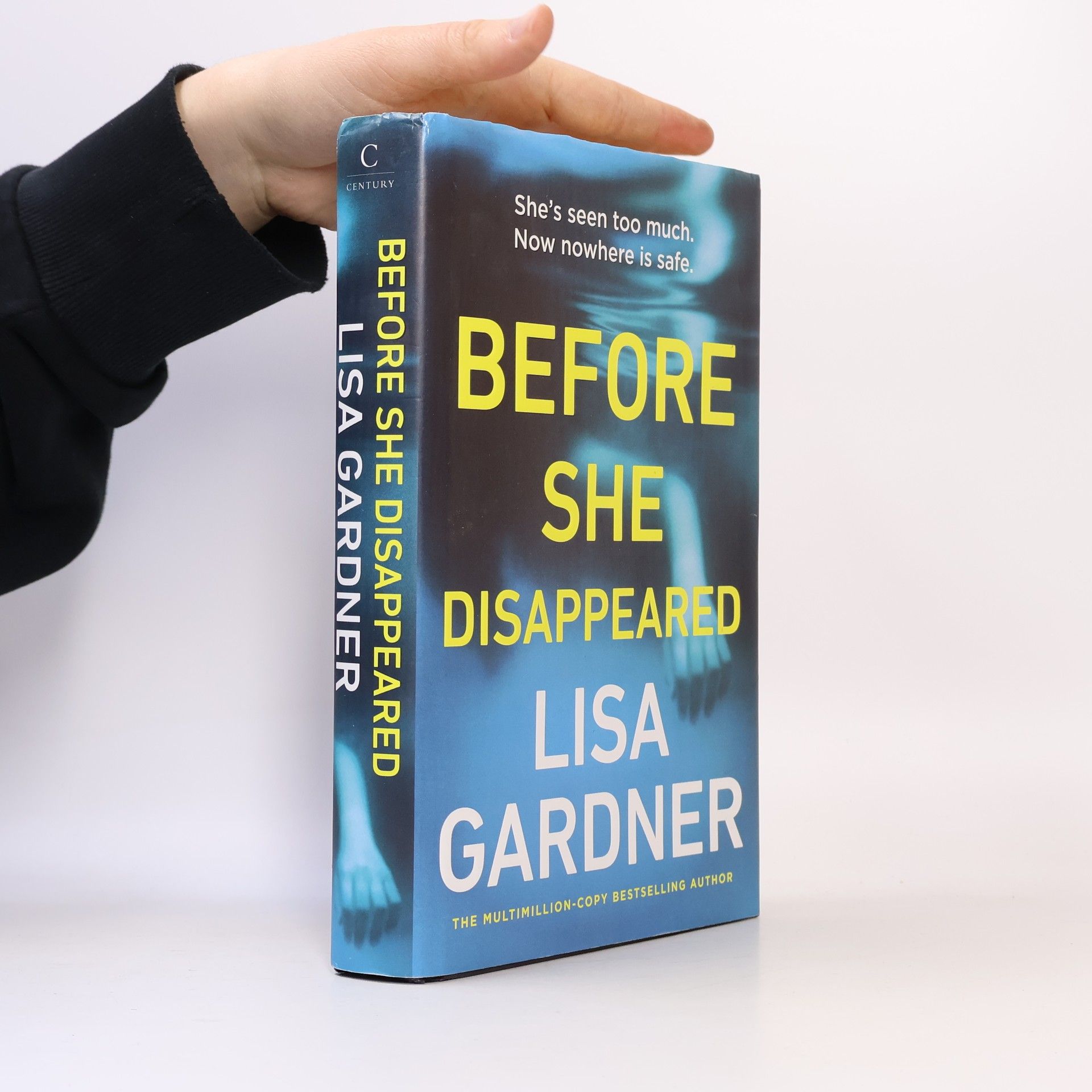 Before She Disappeared