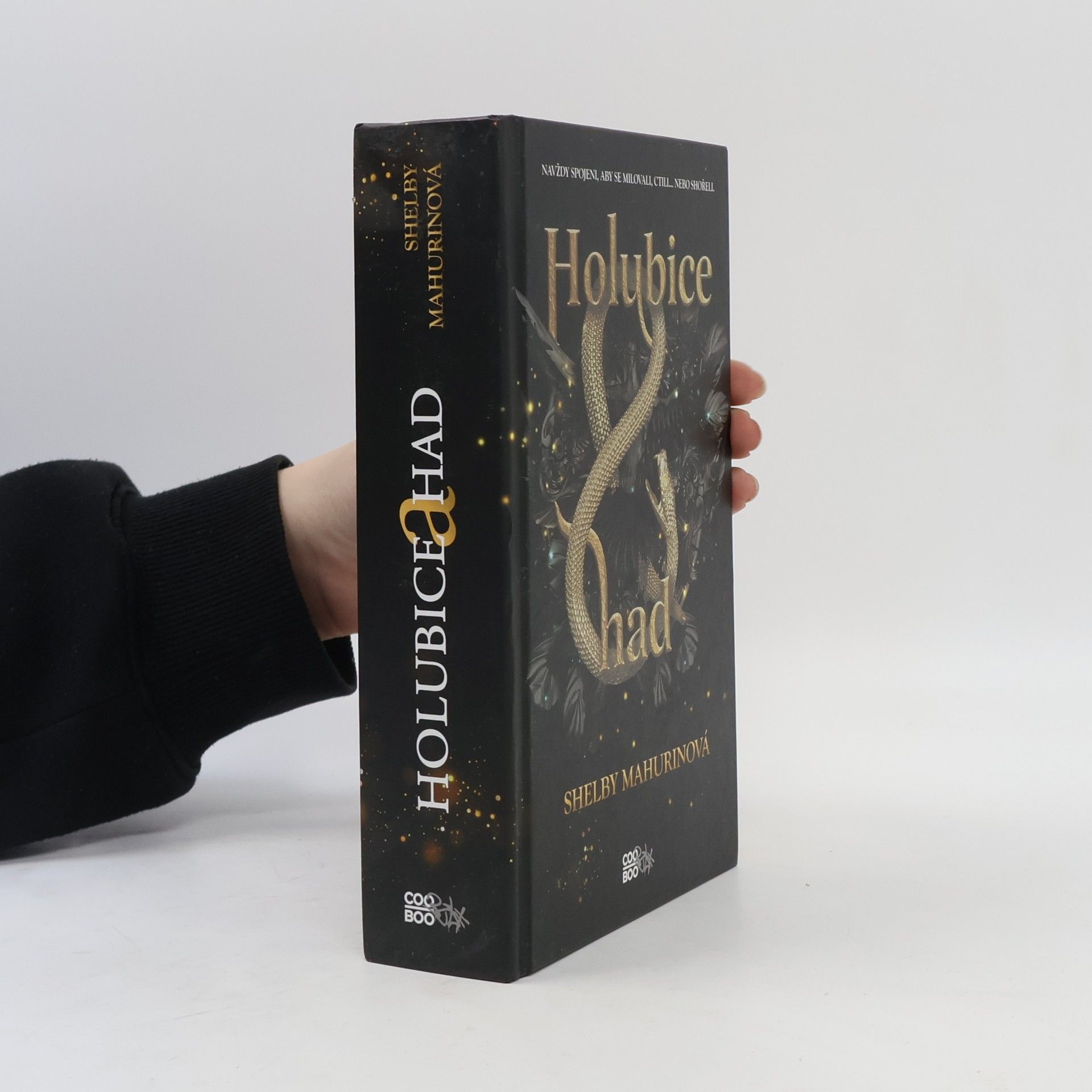 Shelby Mahurin Holubice a had