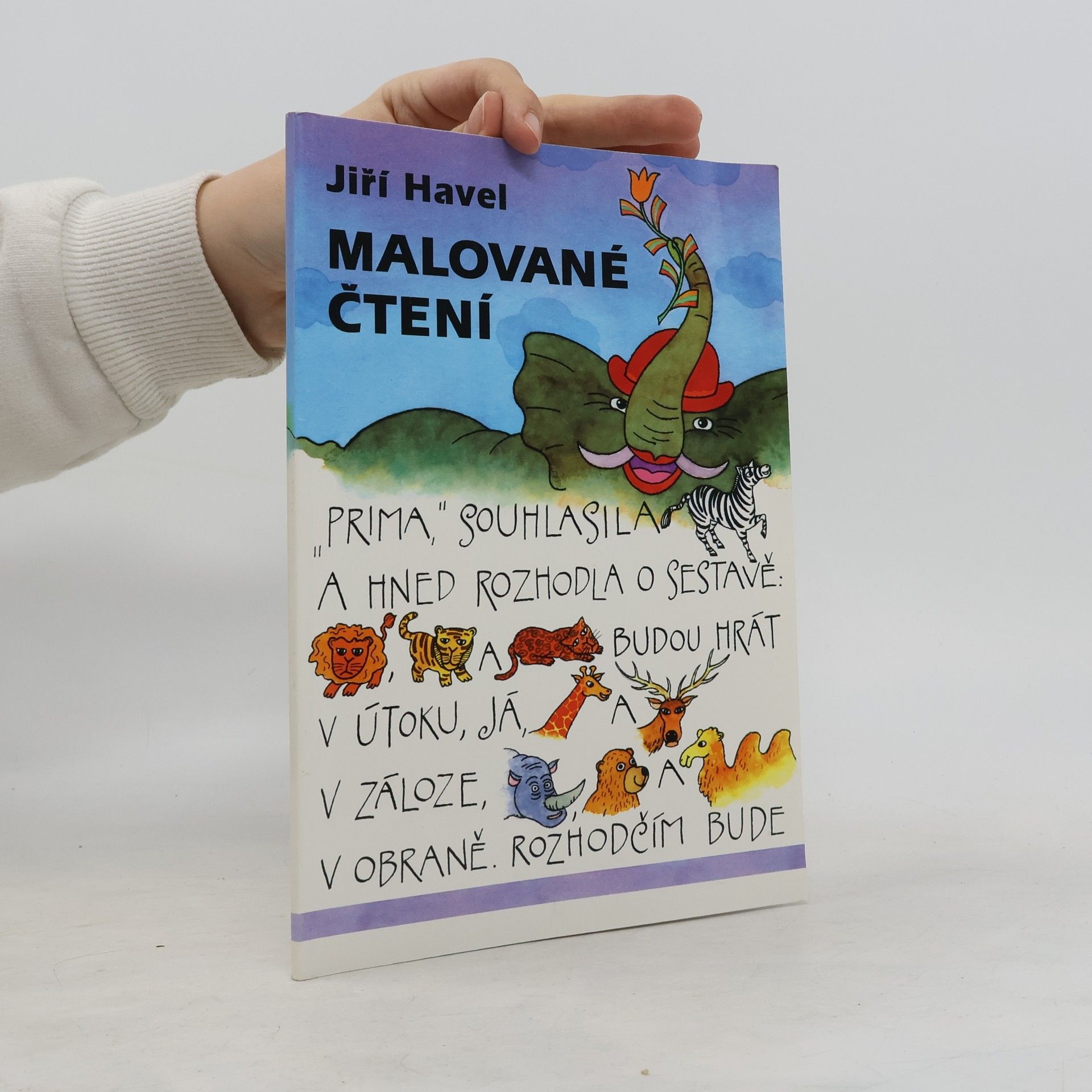 Jiří Havel Malované čtení